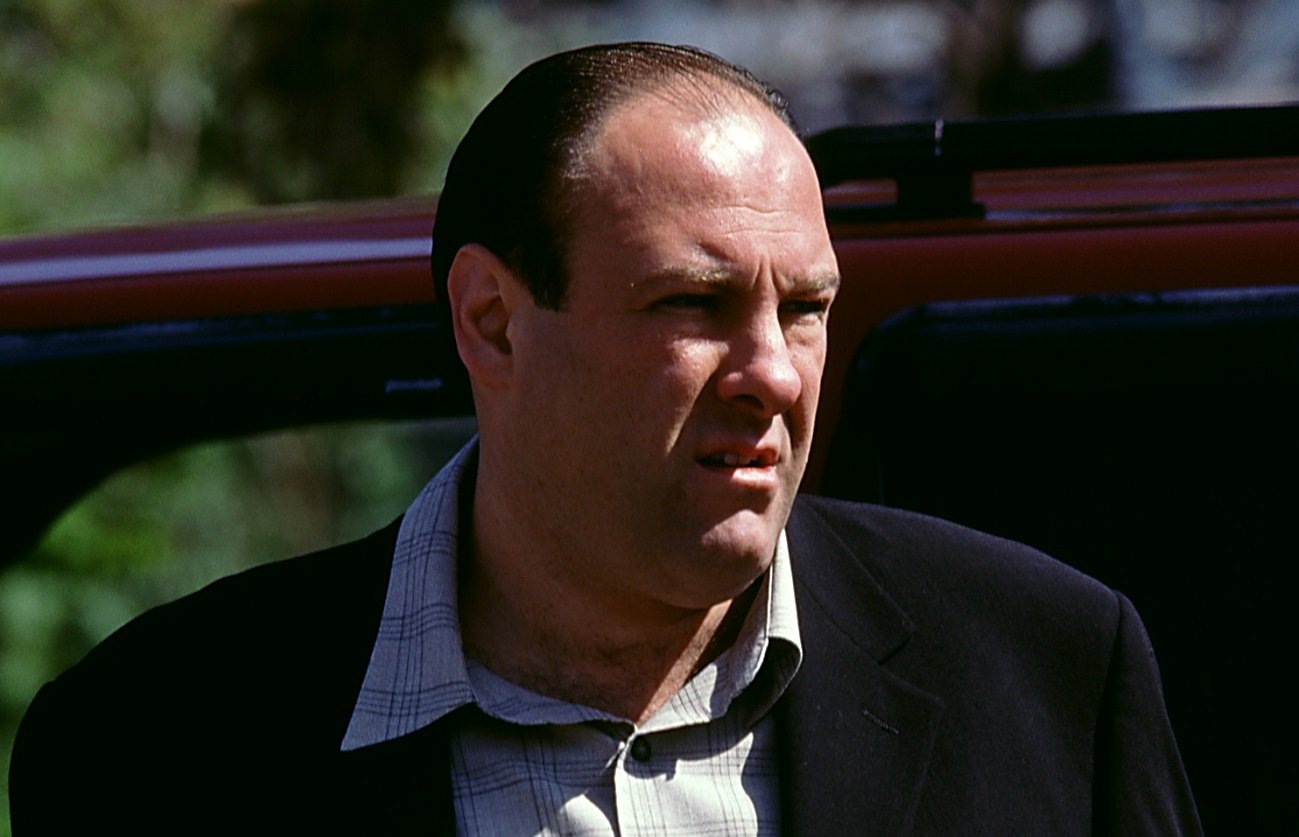 James Gandolfini as Tony Soprano