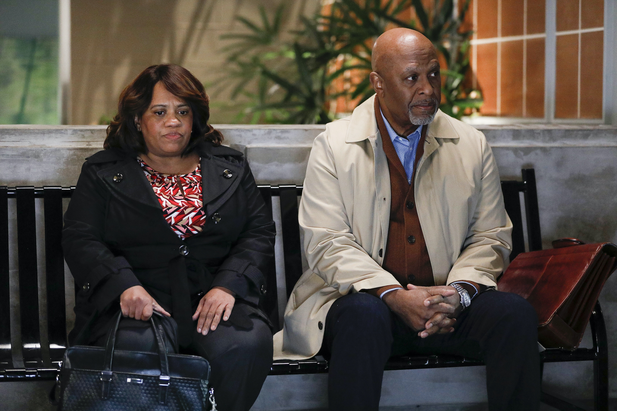 CHANDRA WILSON, JAMES PICKENS JR.