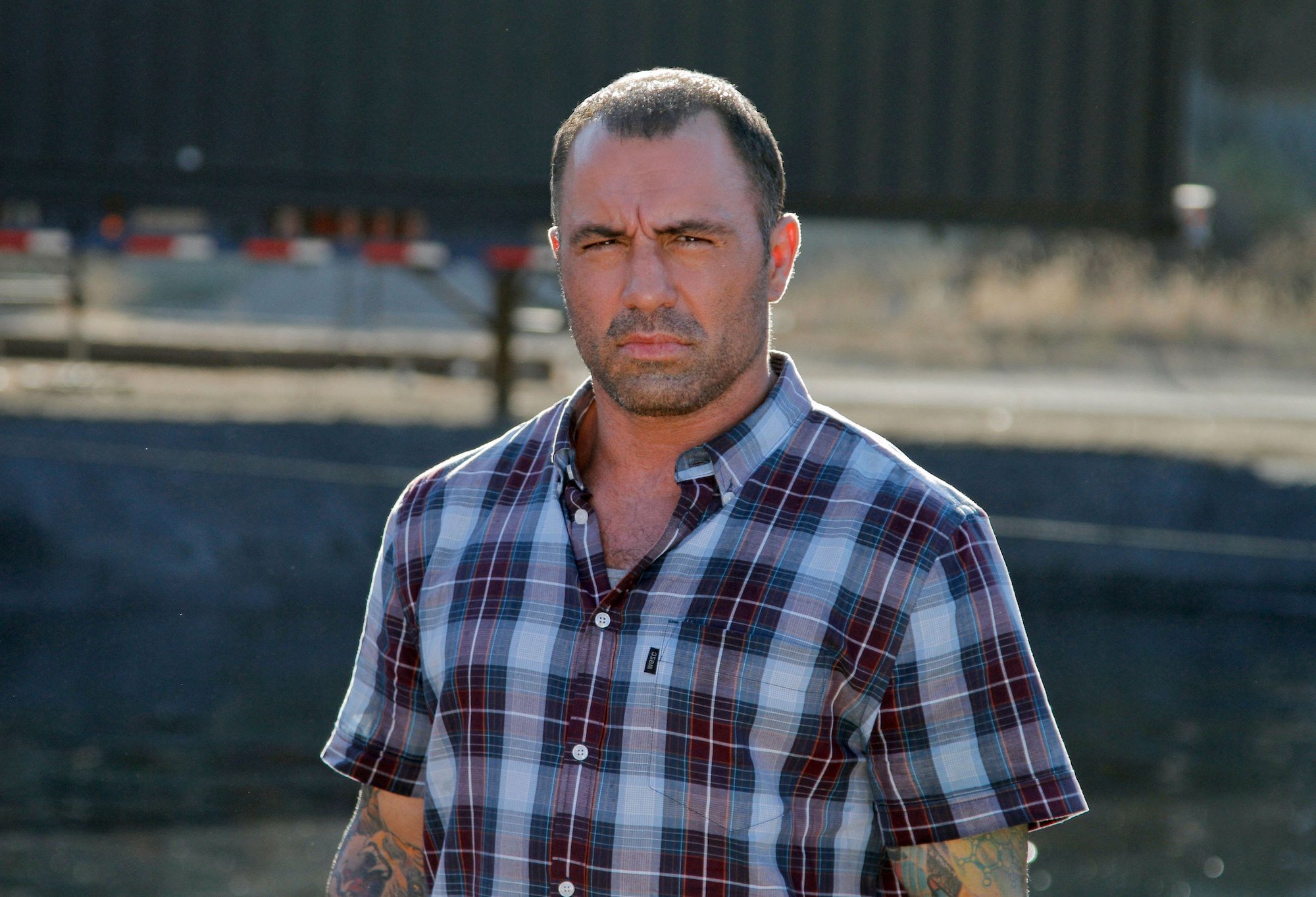 'Fear Factor' host Joe Rogan