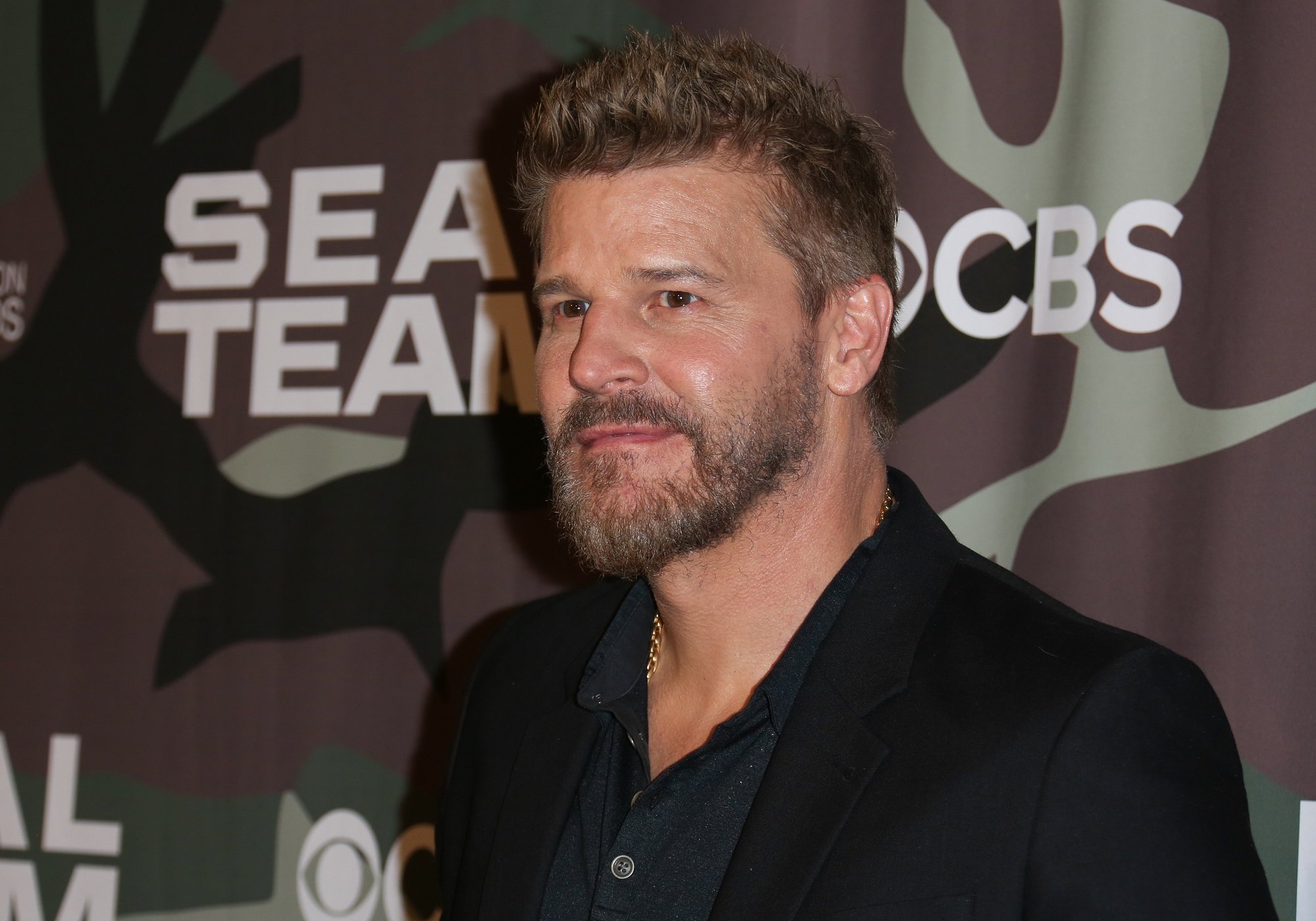 Buffy the Vampire Slayer star David Boreanaz
