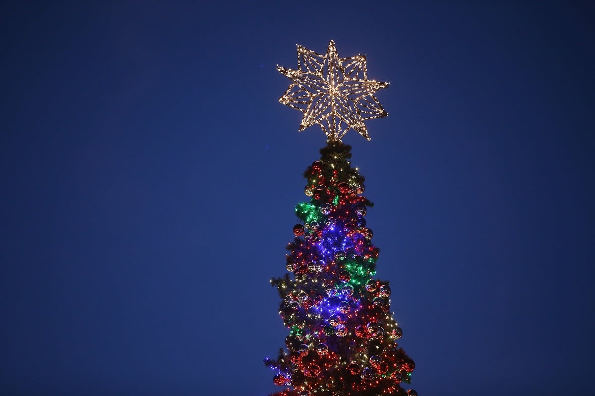 Christmas tree in Berlin, Germany