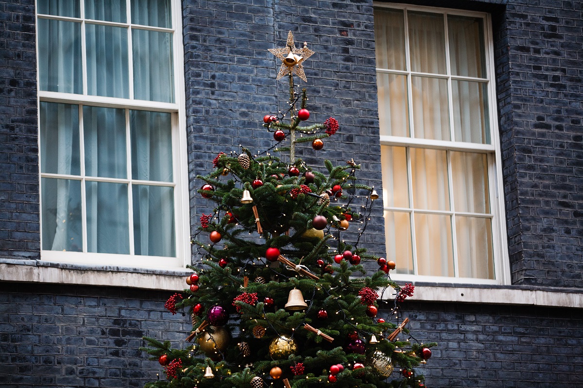 The Downing Street Christmas tree