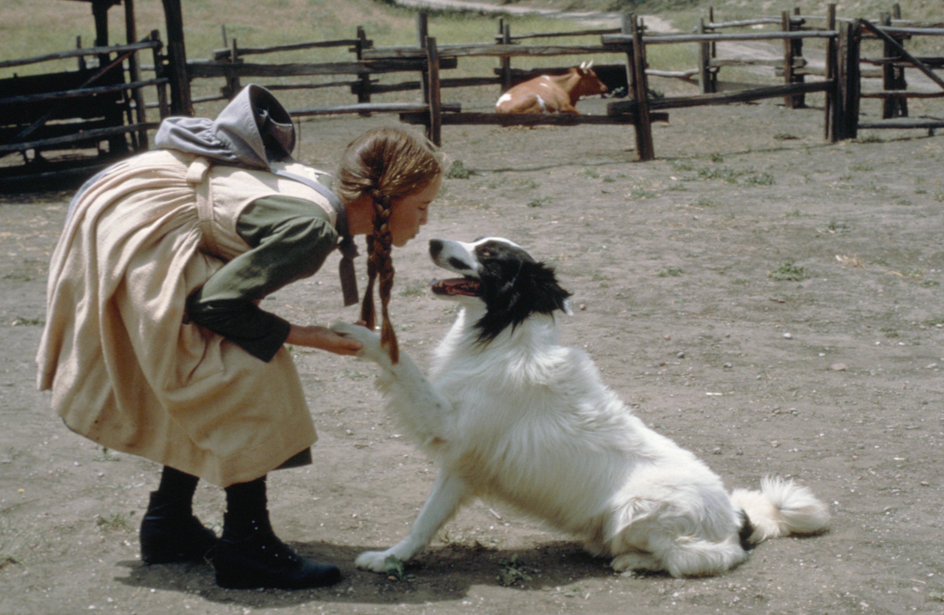 Melissa Gilbert in 'Little House on the Prairie'