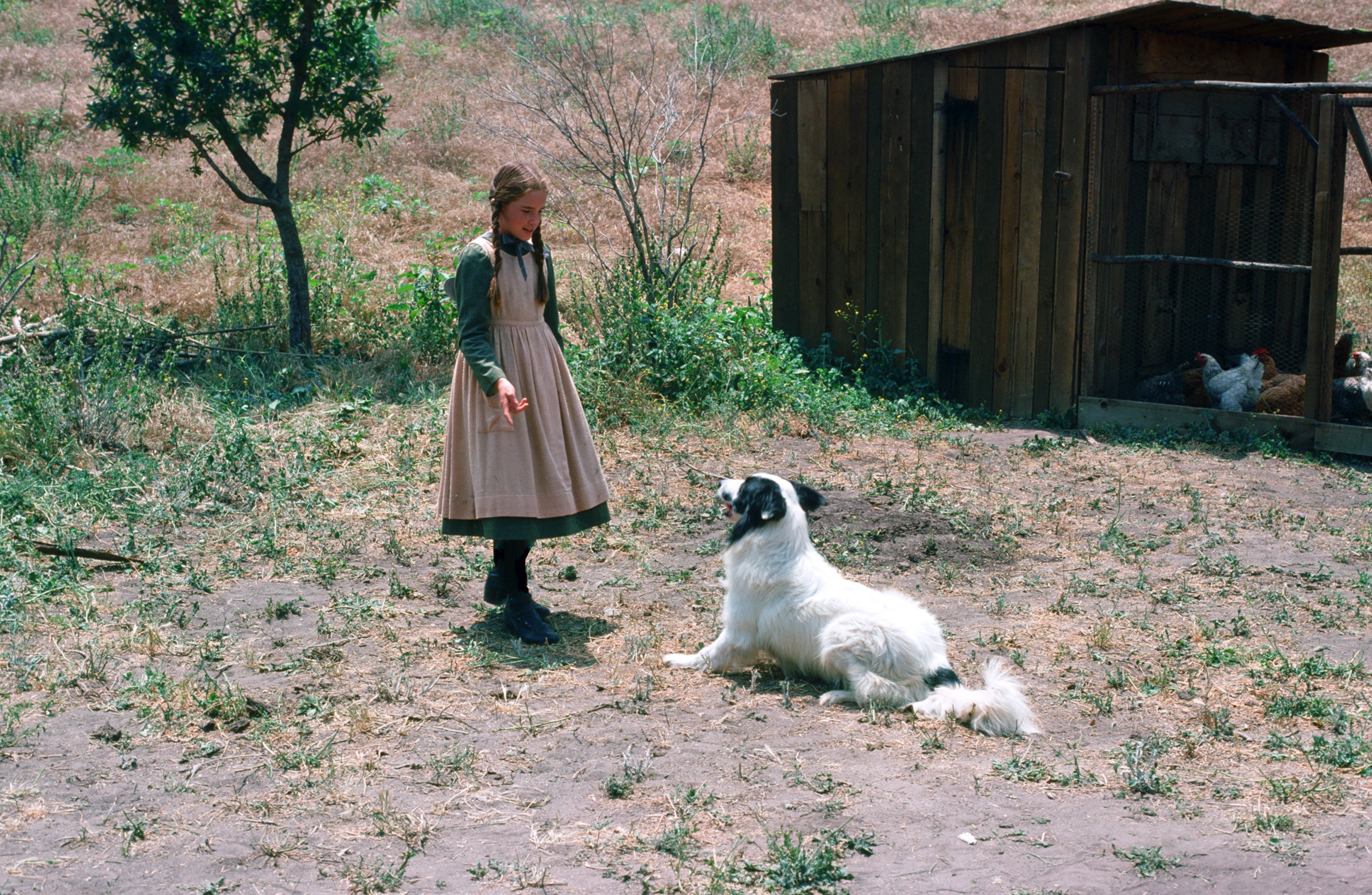 Melissa Gilbert and Jeffrey, known as Bandit on 'Little House on the Prairie'