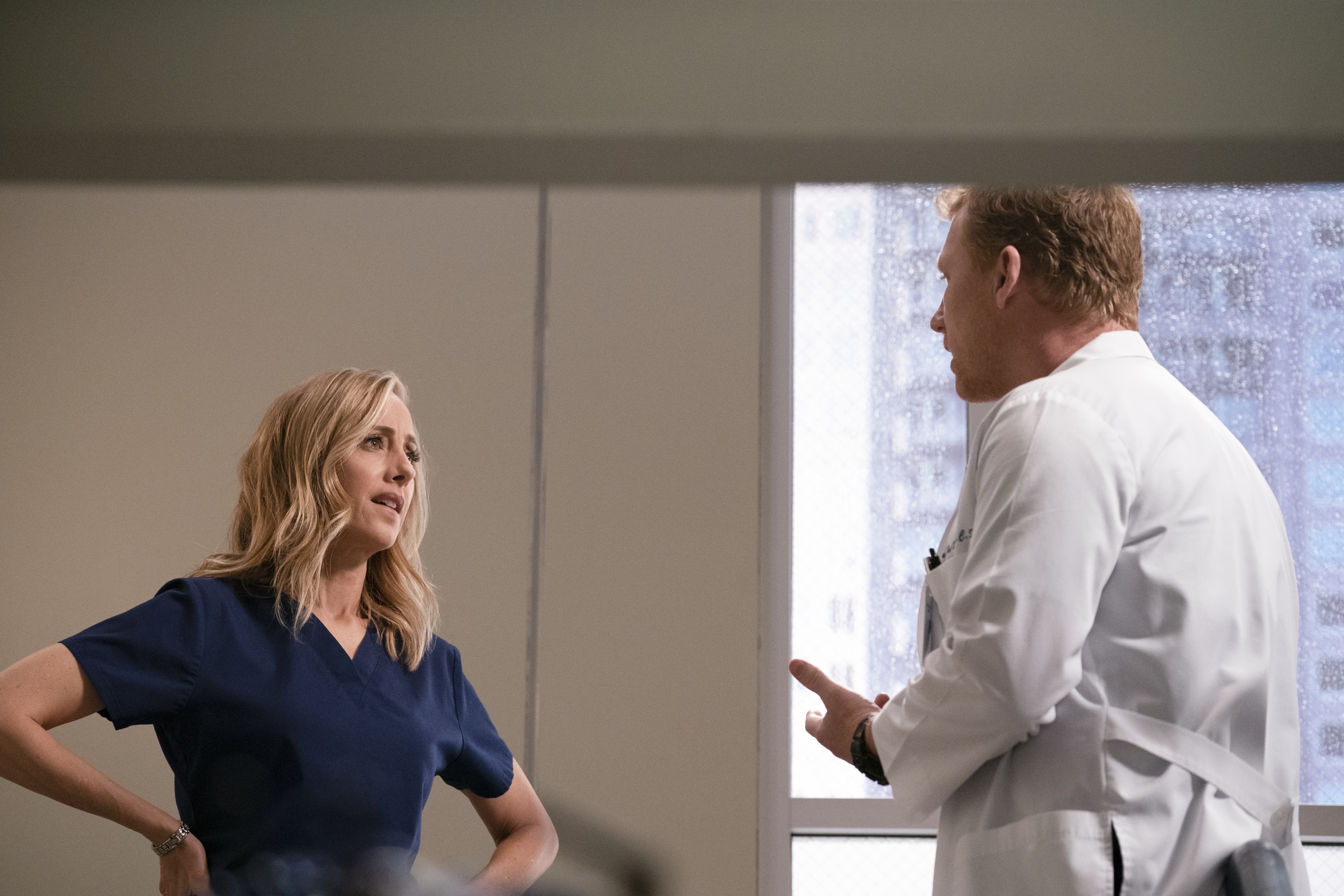 'Grey's Anatomy' stars Kim Raver and Kevin McKidd