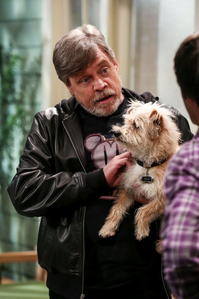 Mark Hamill on 'The Big Bang Theory'