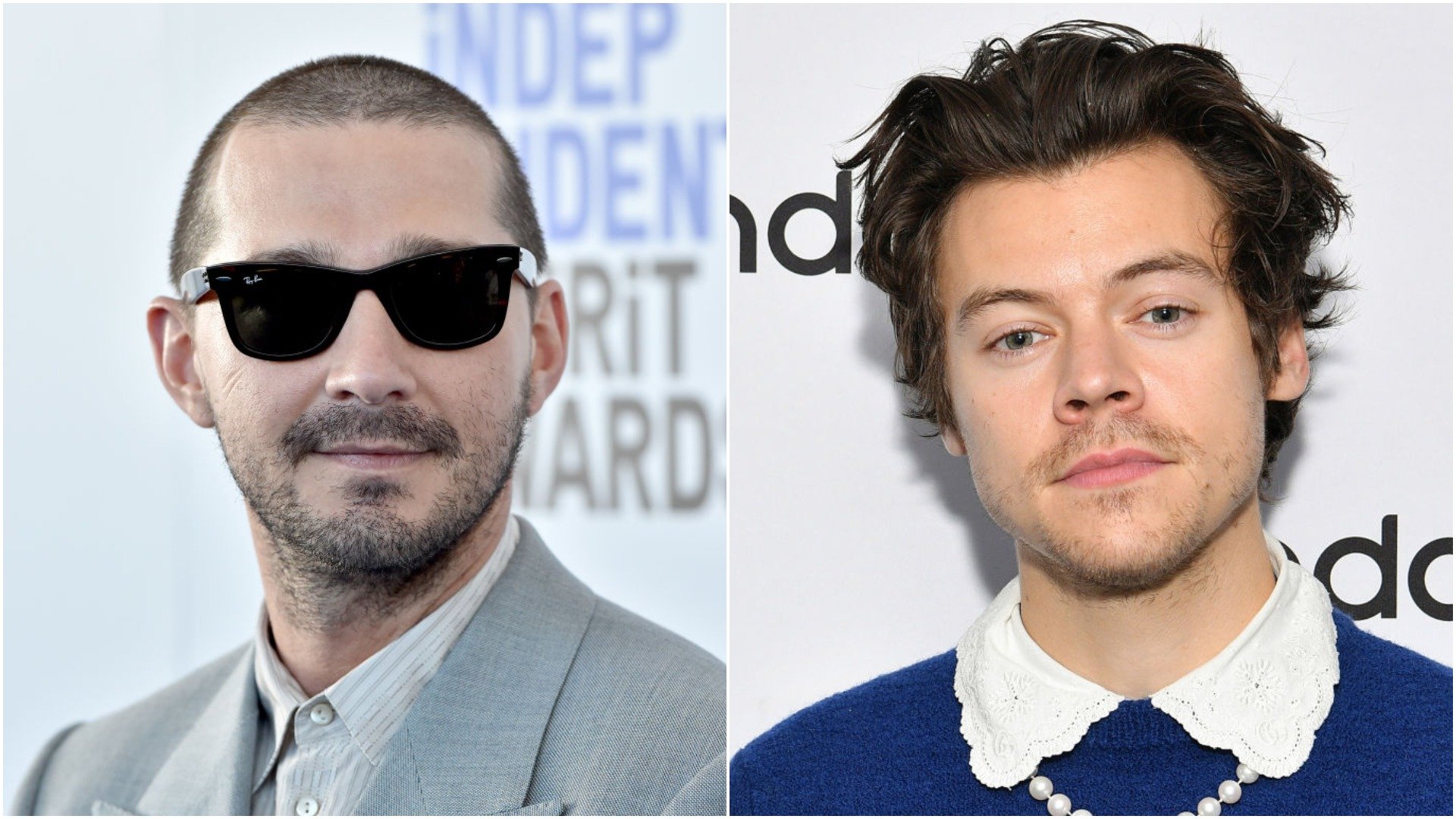 Shia LaBeouf and Harry Styles 