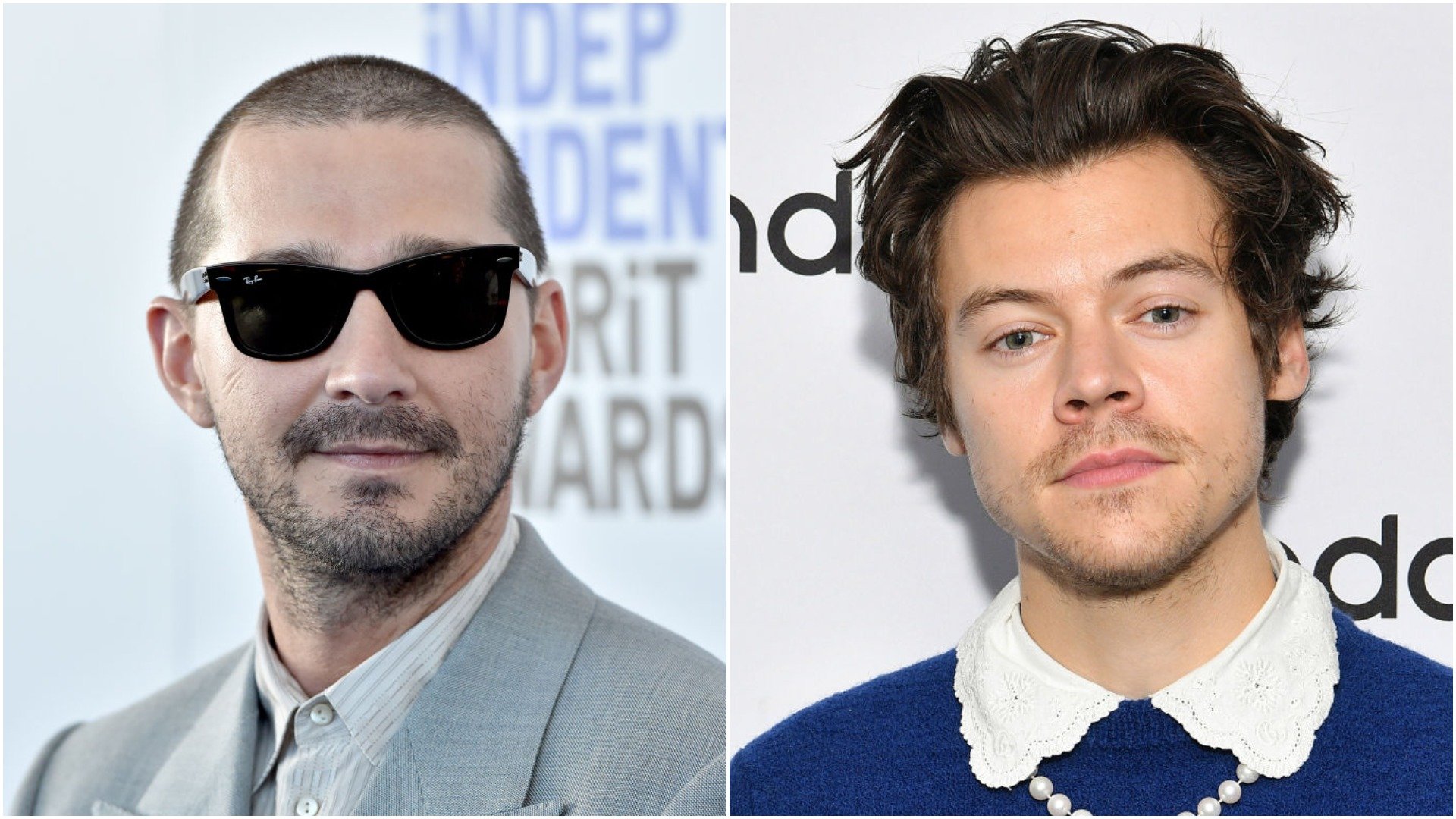 Shia LaBeouf and Harry Styles