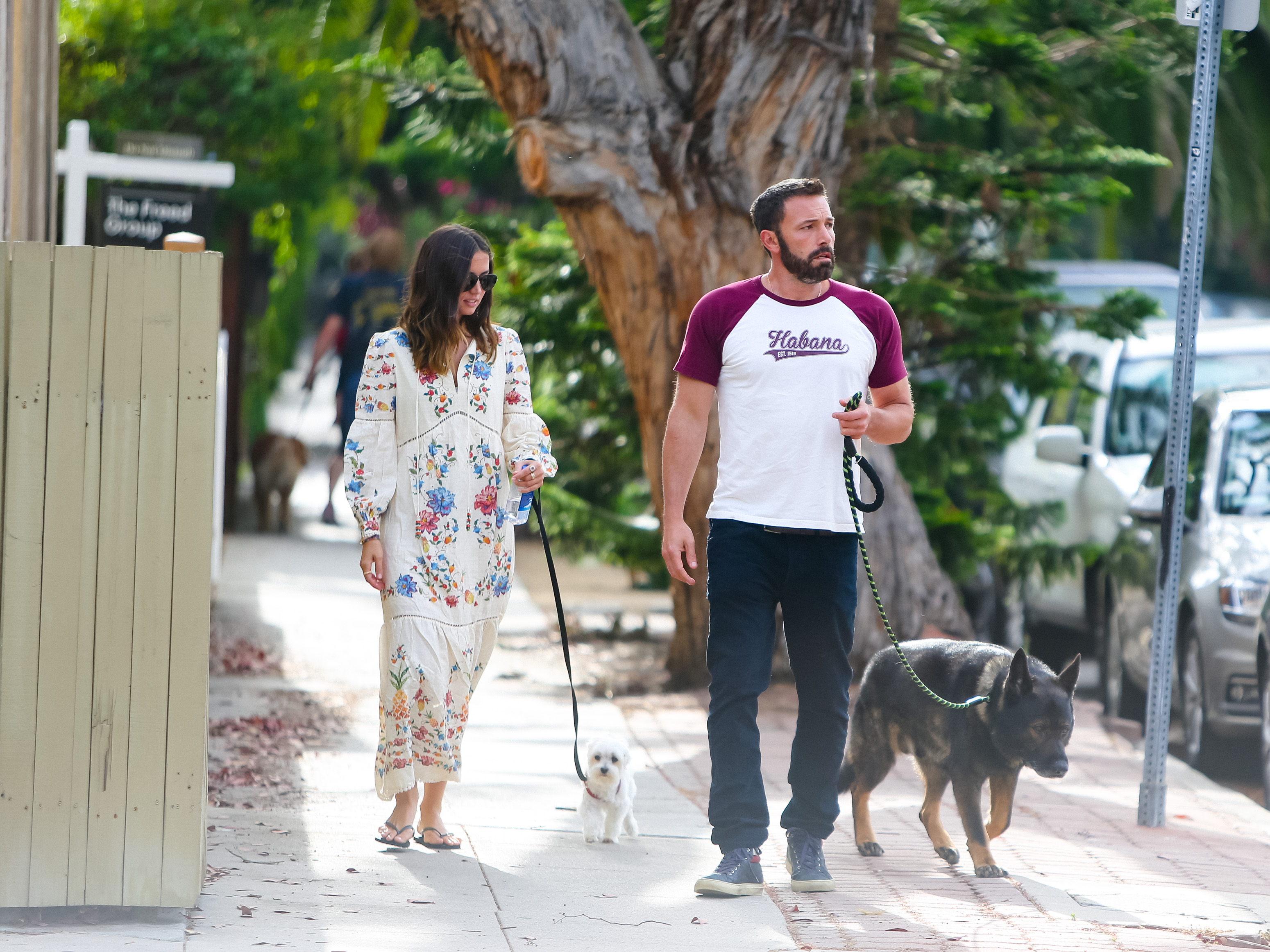 Ana de Armas and Ben Affleck dog walk June