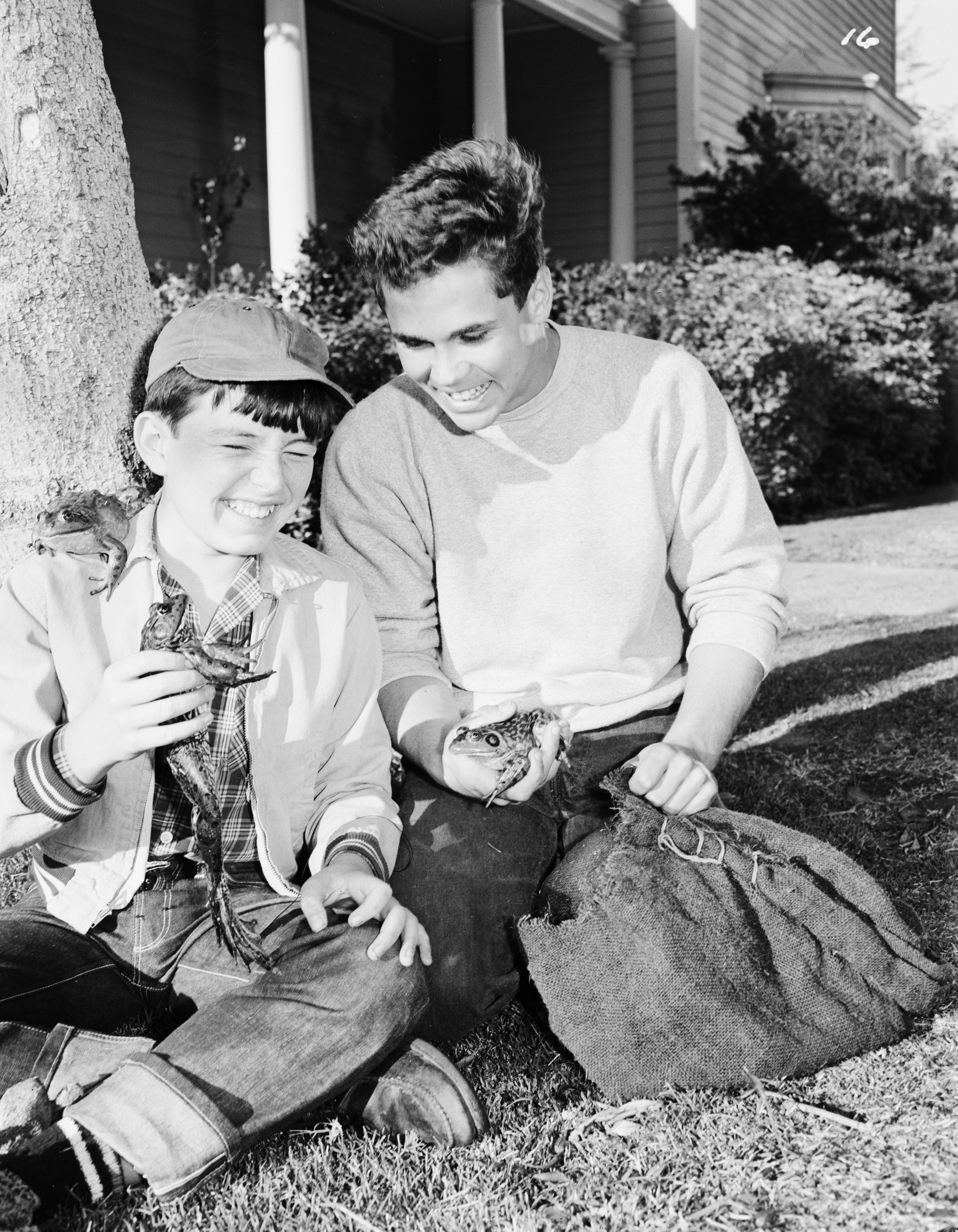Jerry Mathers and Tony Dow smile as they sit next to each other and hold frogs