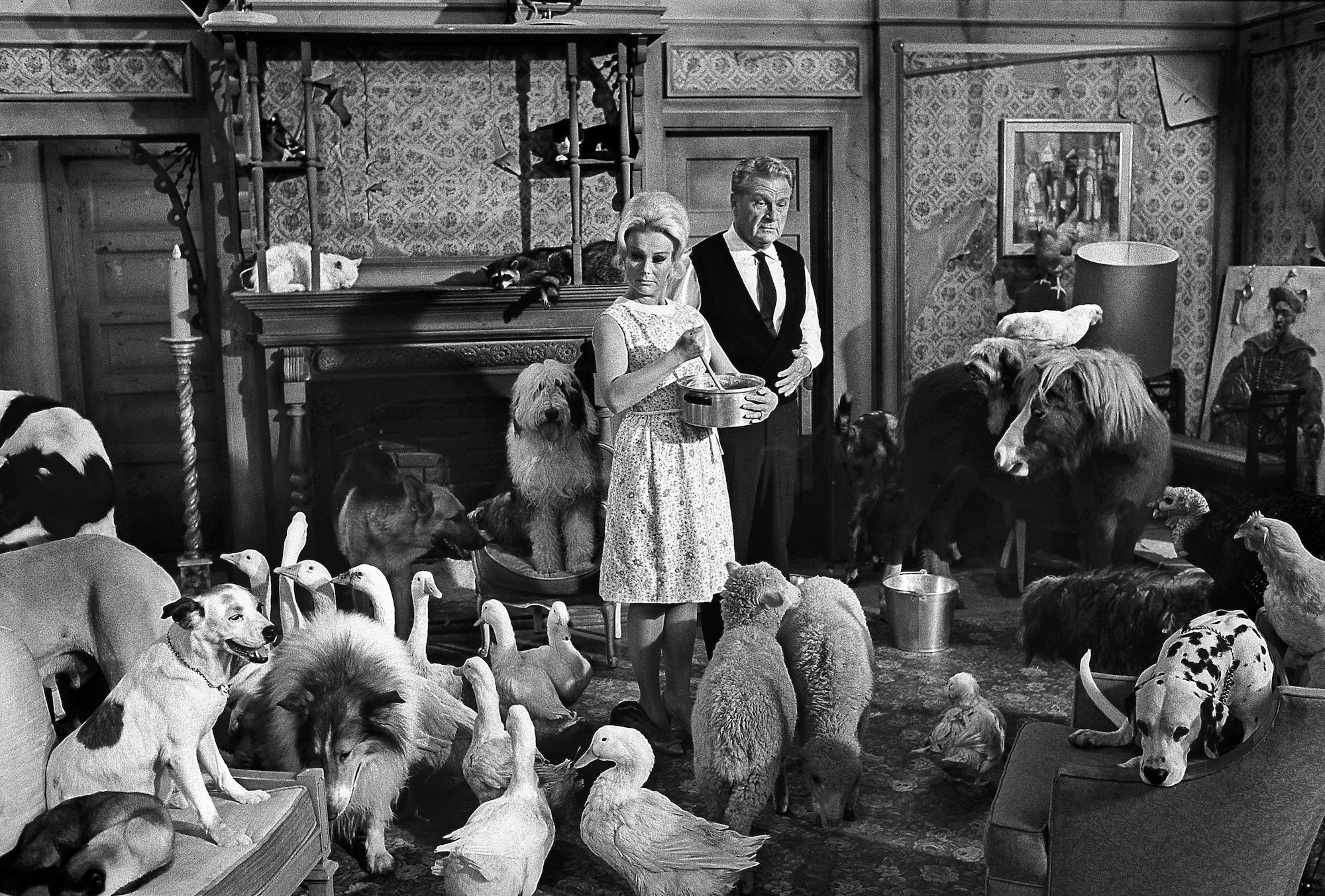 (L-R) Eva Gabor and Eddie Albert in a room full of farm animals