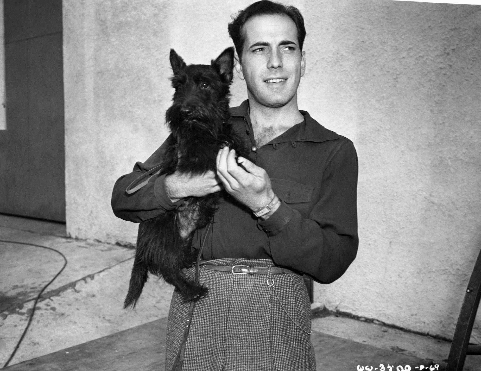 Humphrey Bogart Filmed ‘The Harder They Fall’ While Quietly Dying of Cancer