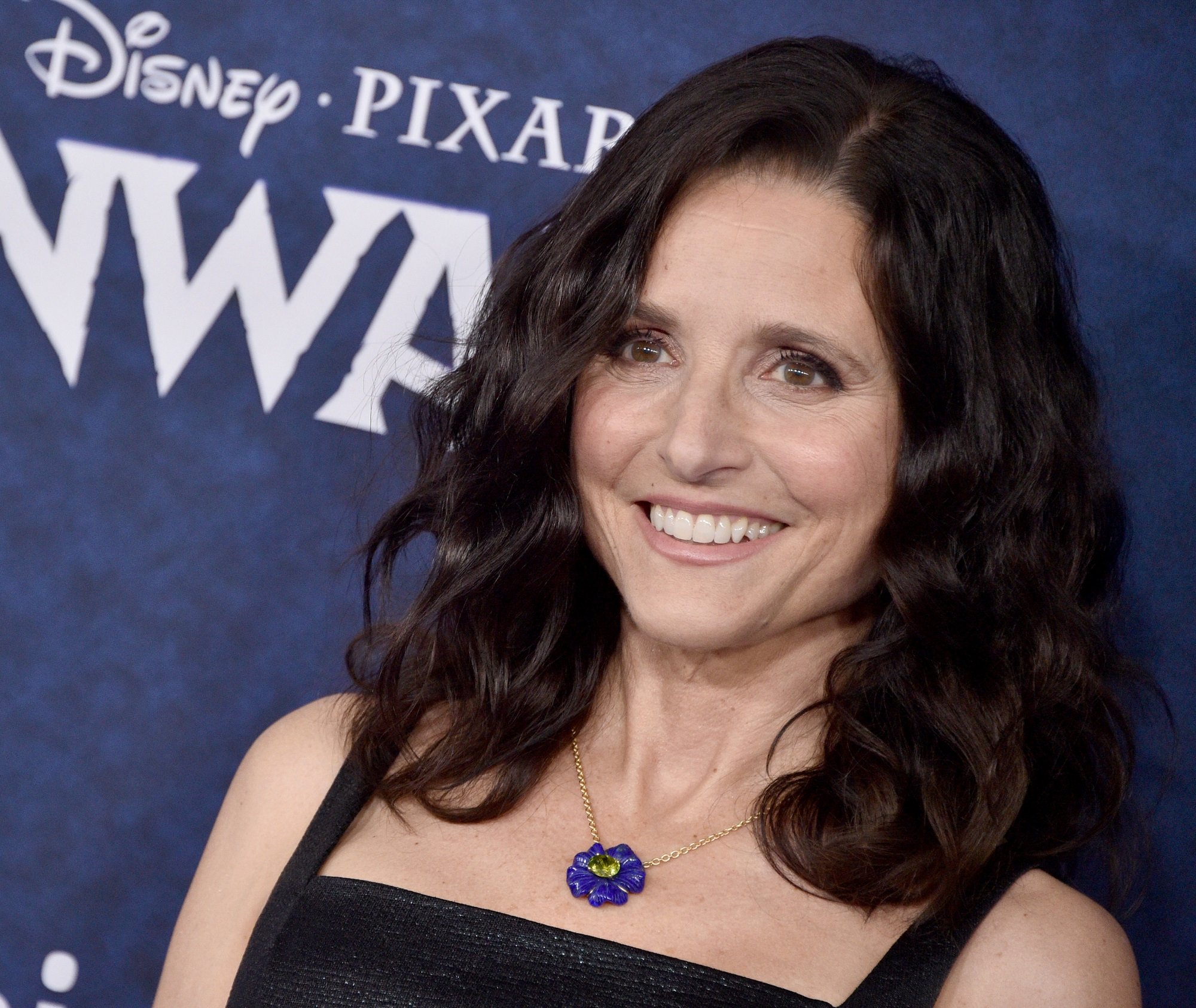 Julia Louis-Dreyfus poses in black outfit