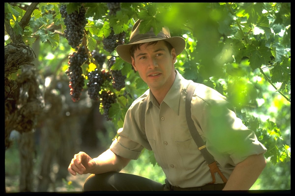 Keanu Reeves in 'A Walk In the Clouds'