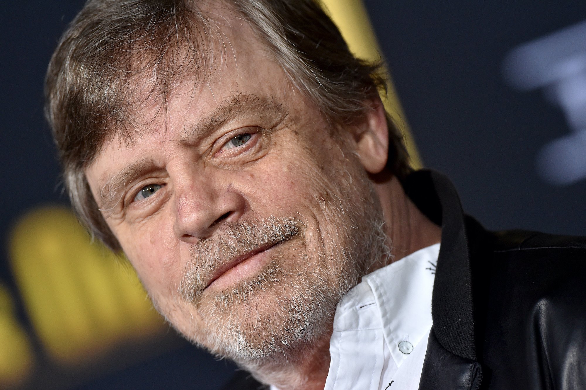 Mark Hamill 