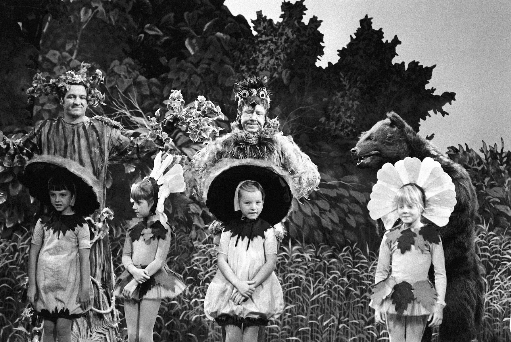 'Mayberry R.F.D.' cast