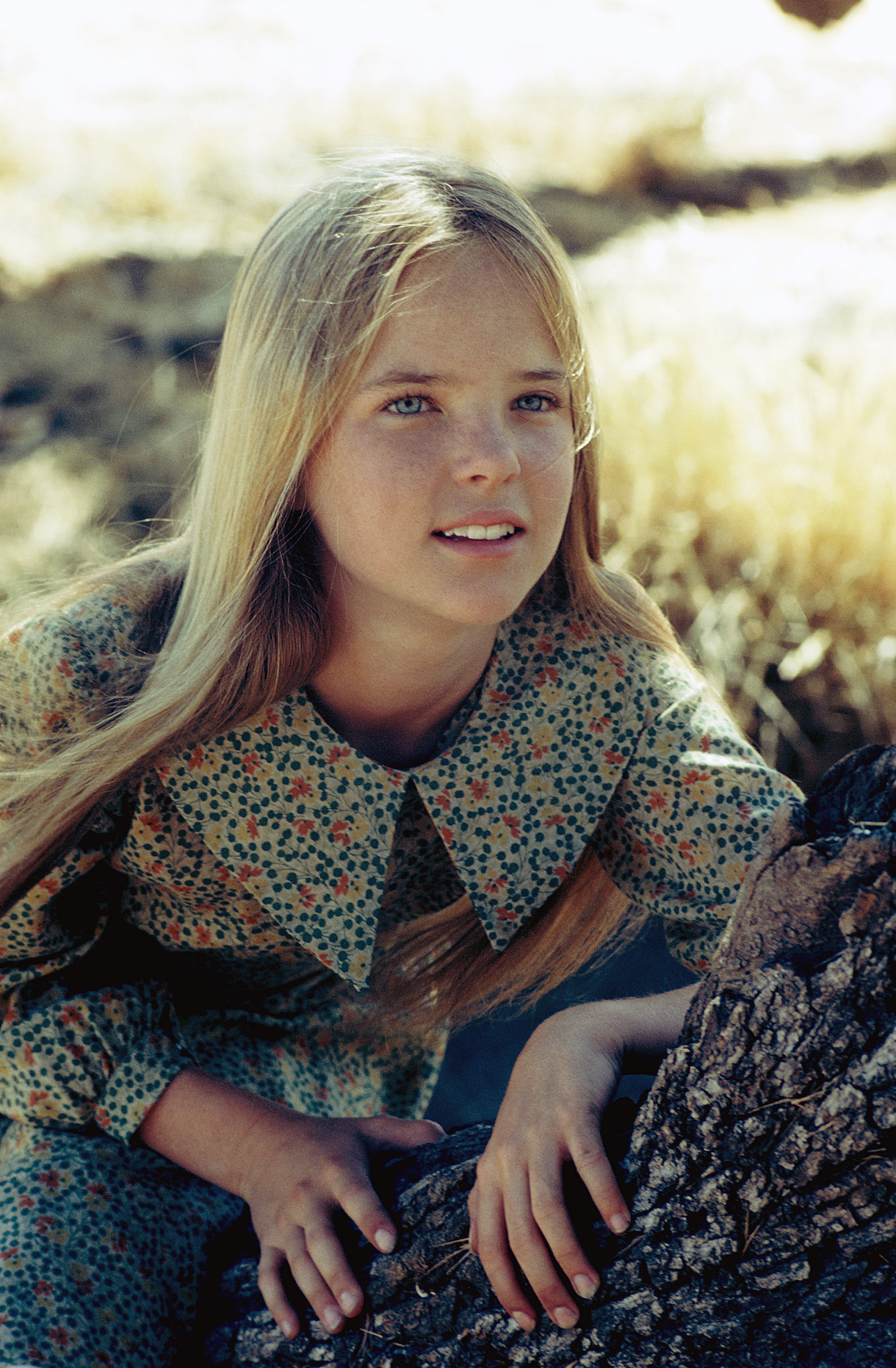 Melissa Sue Anderson as Mary Ingalls