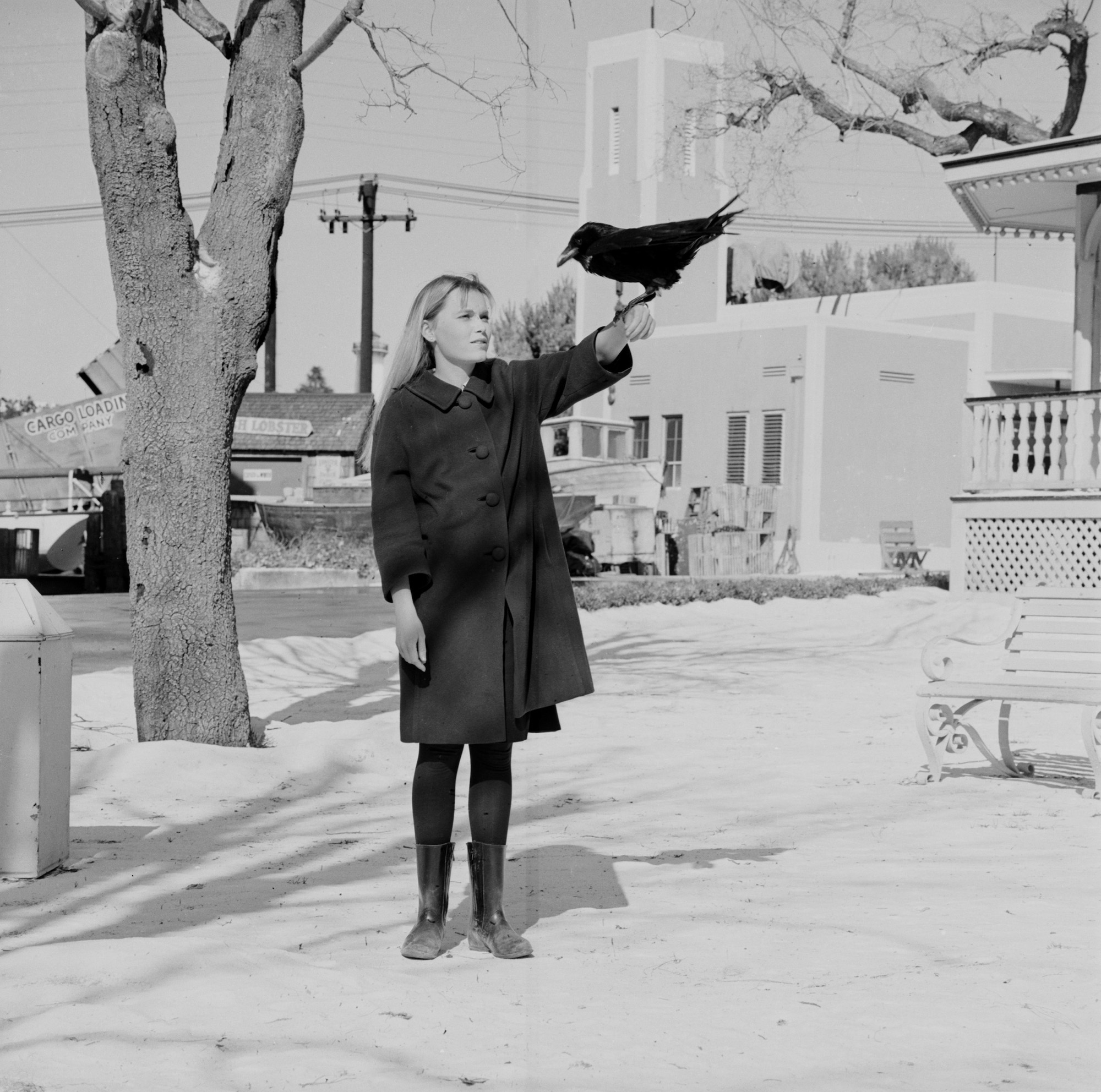 Mia Farrow posed with a crow perched on her arm