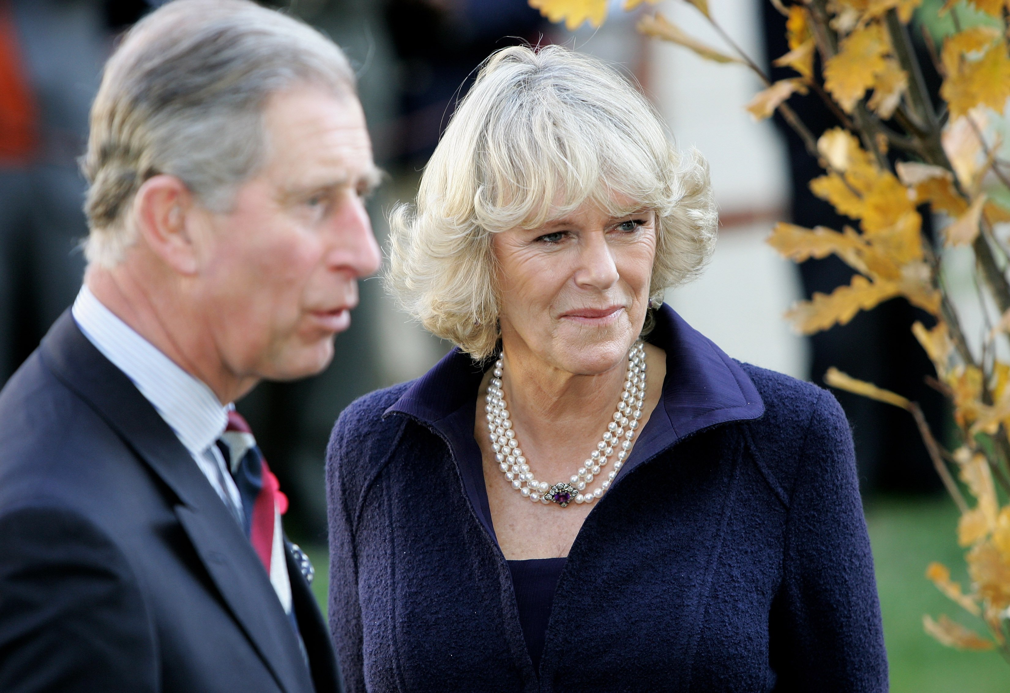 Prince Charles and Camilla 