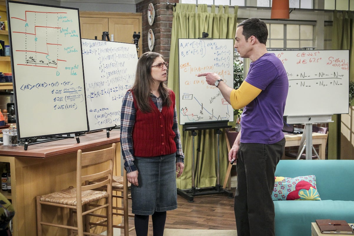 Sheldon and Amy on 'The Big Bang Theory'