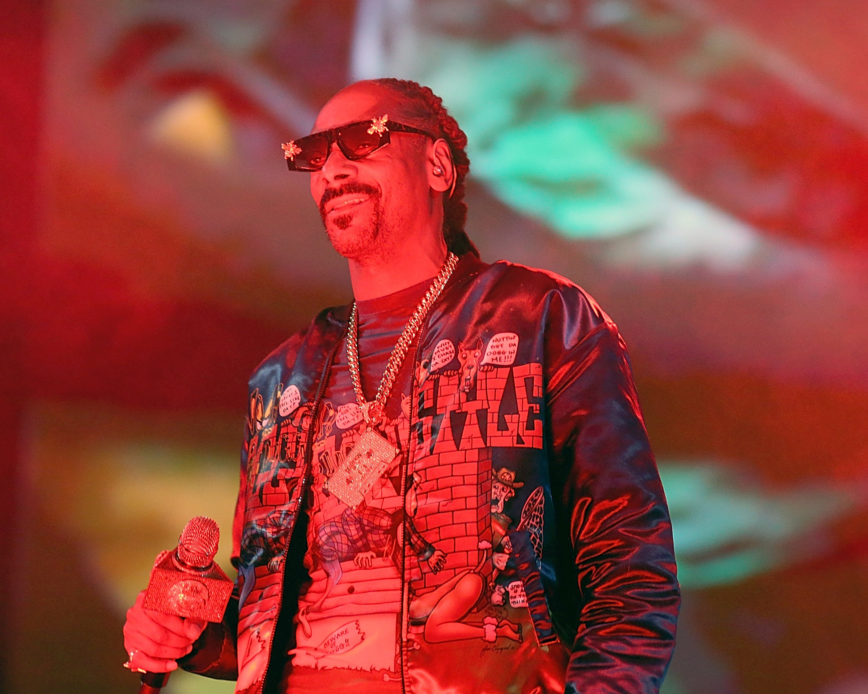 Snoop Dogg | Gary Miller/Getty Images