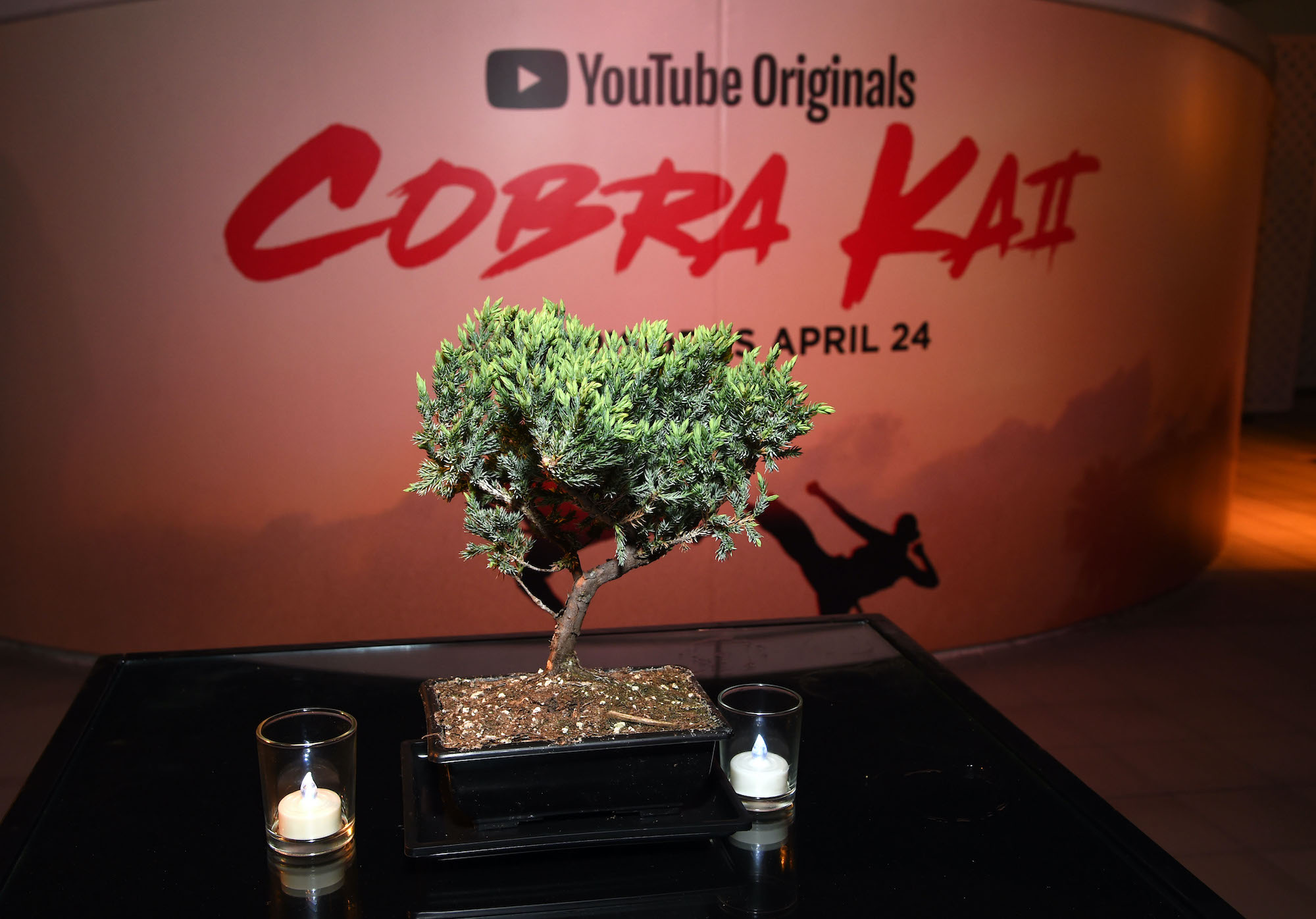 'Cobra Kai'