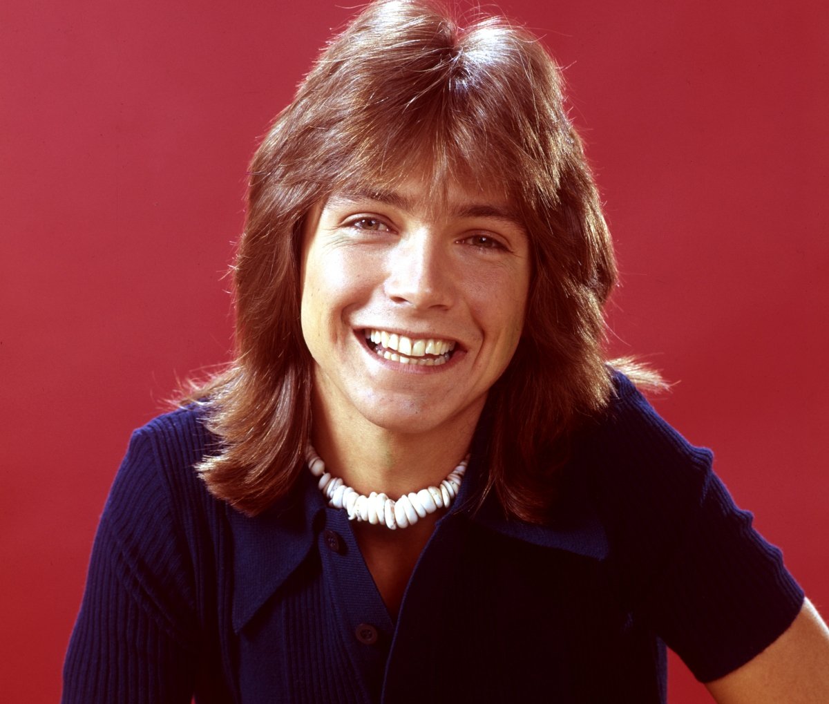 David Cassidy of 'The Partridge Family'