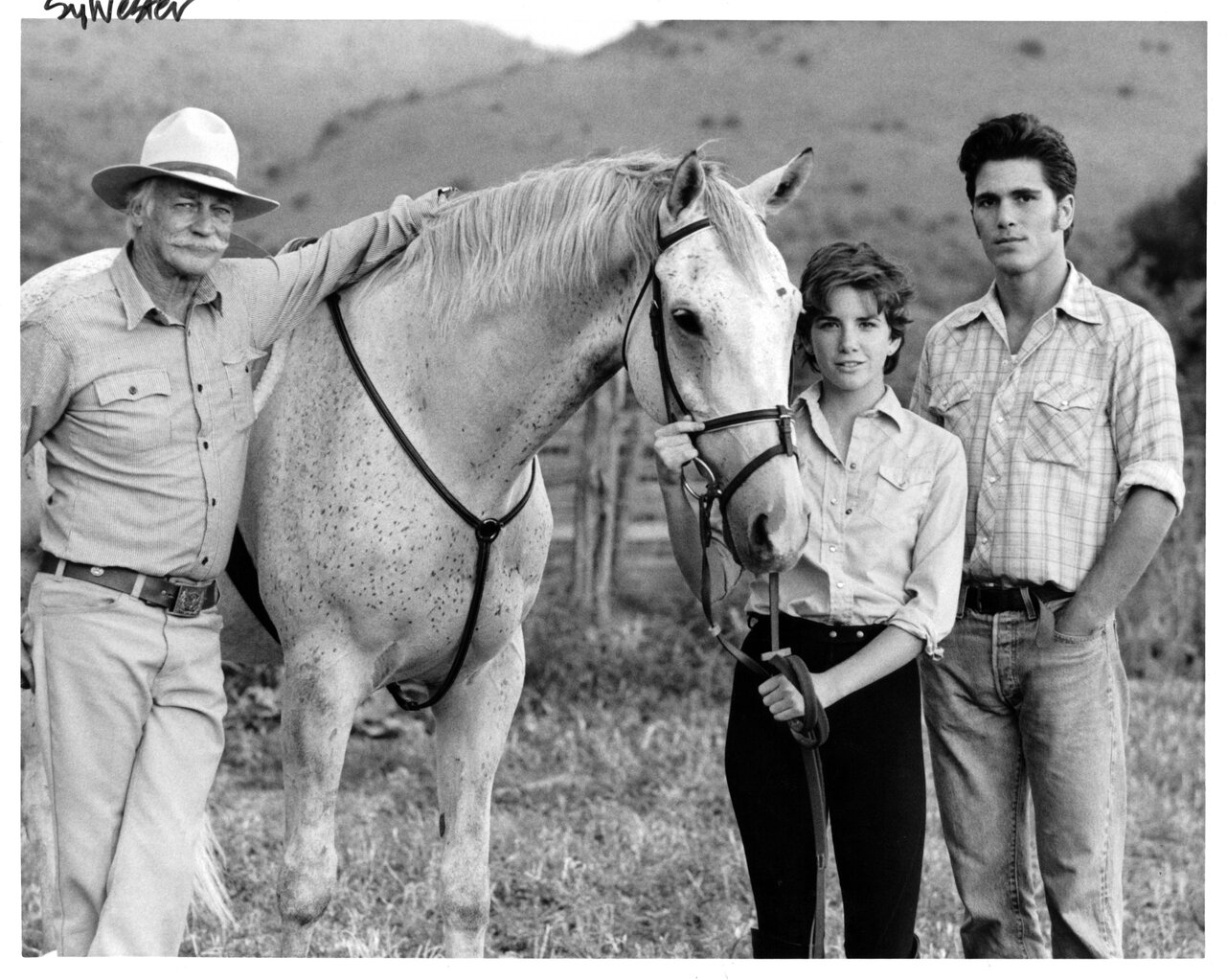 Richard Farnsworth, Melissa Gilbert, and  Michael Schoeffling