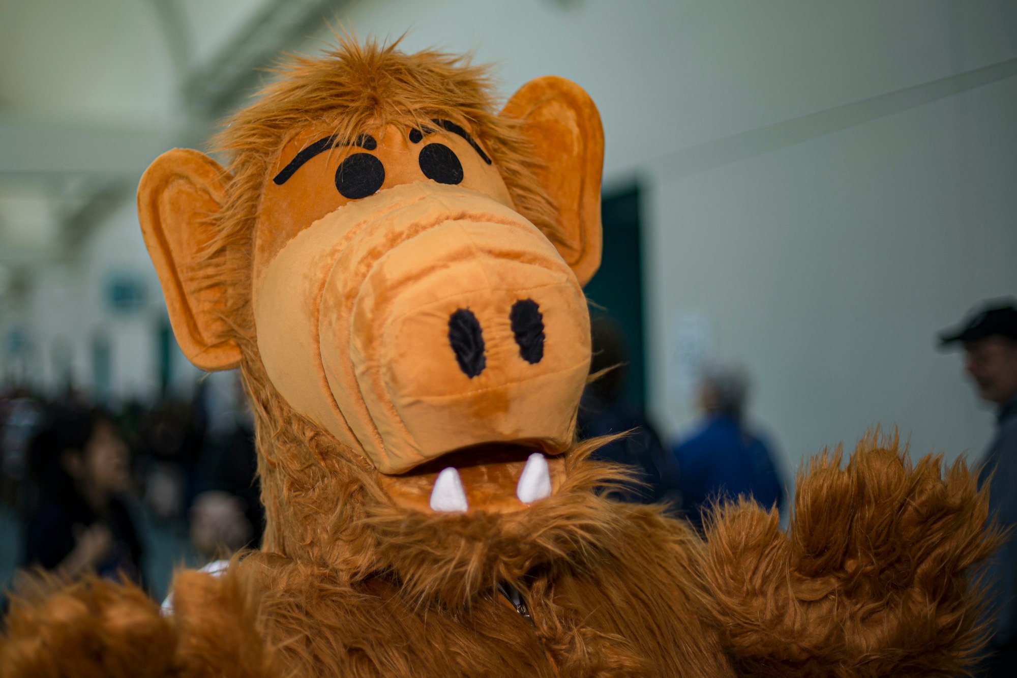 Alf stuffed animal in front of a blurred background