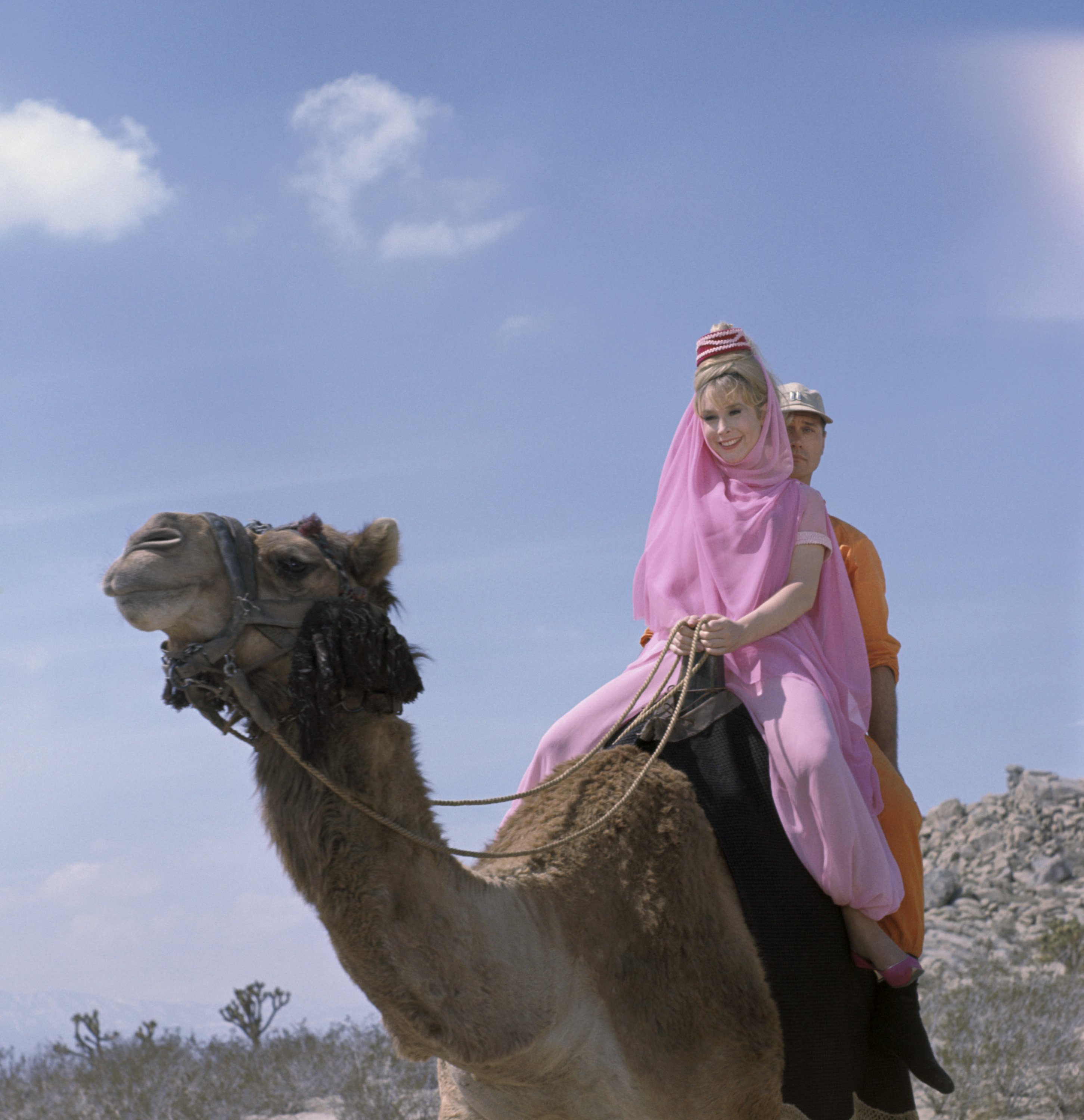 Barbara Eden as Jeannie