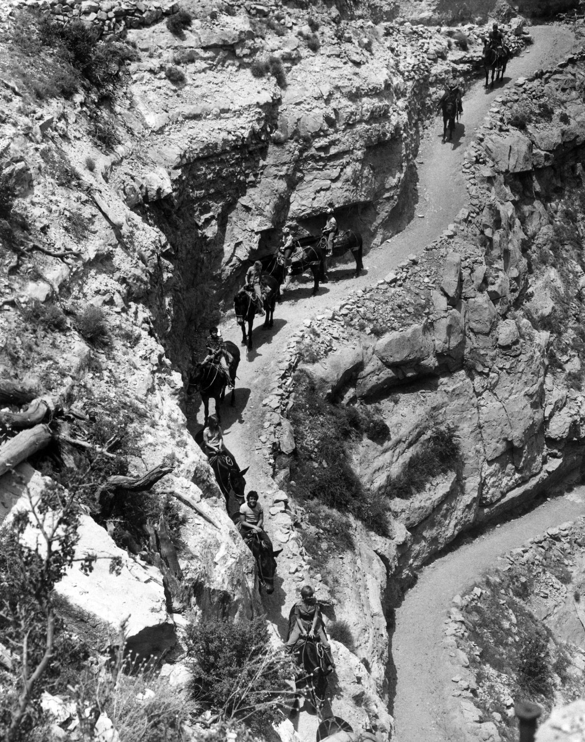 'The Brady Bunch' cast winding down the Grand Canyon