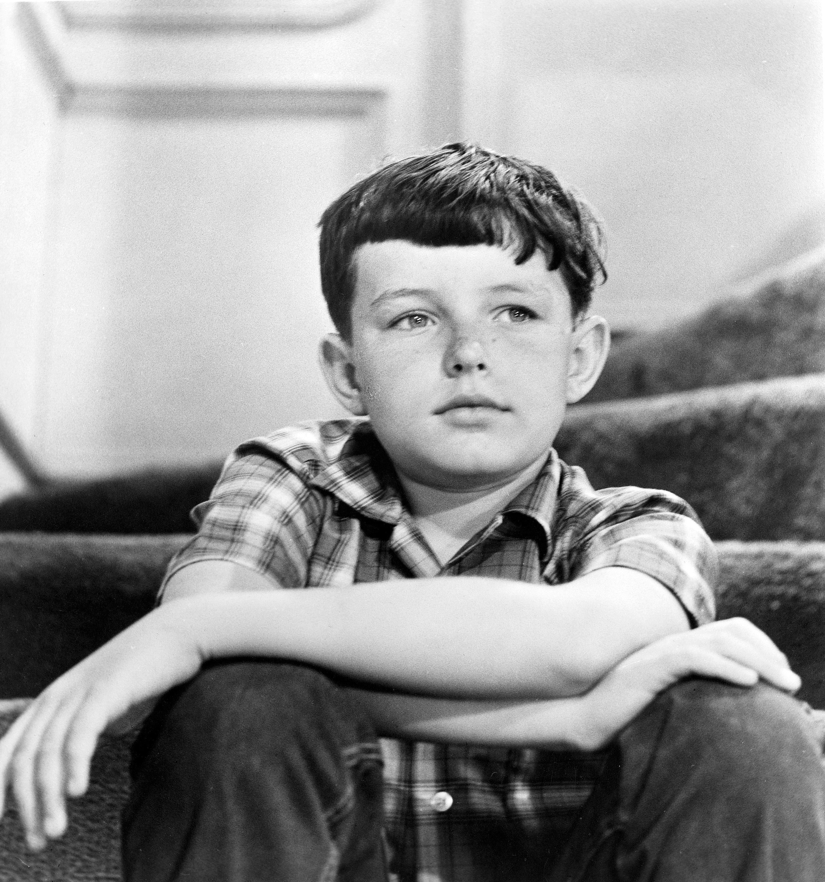 Jerry Mathers as Beaver Cleaver on  'Leave It To Beaver'