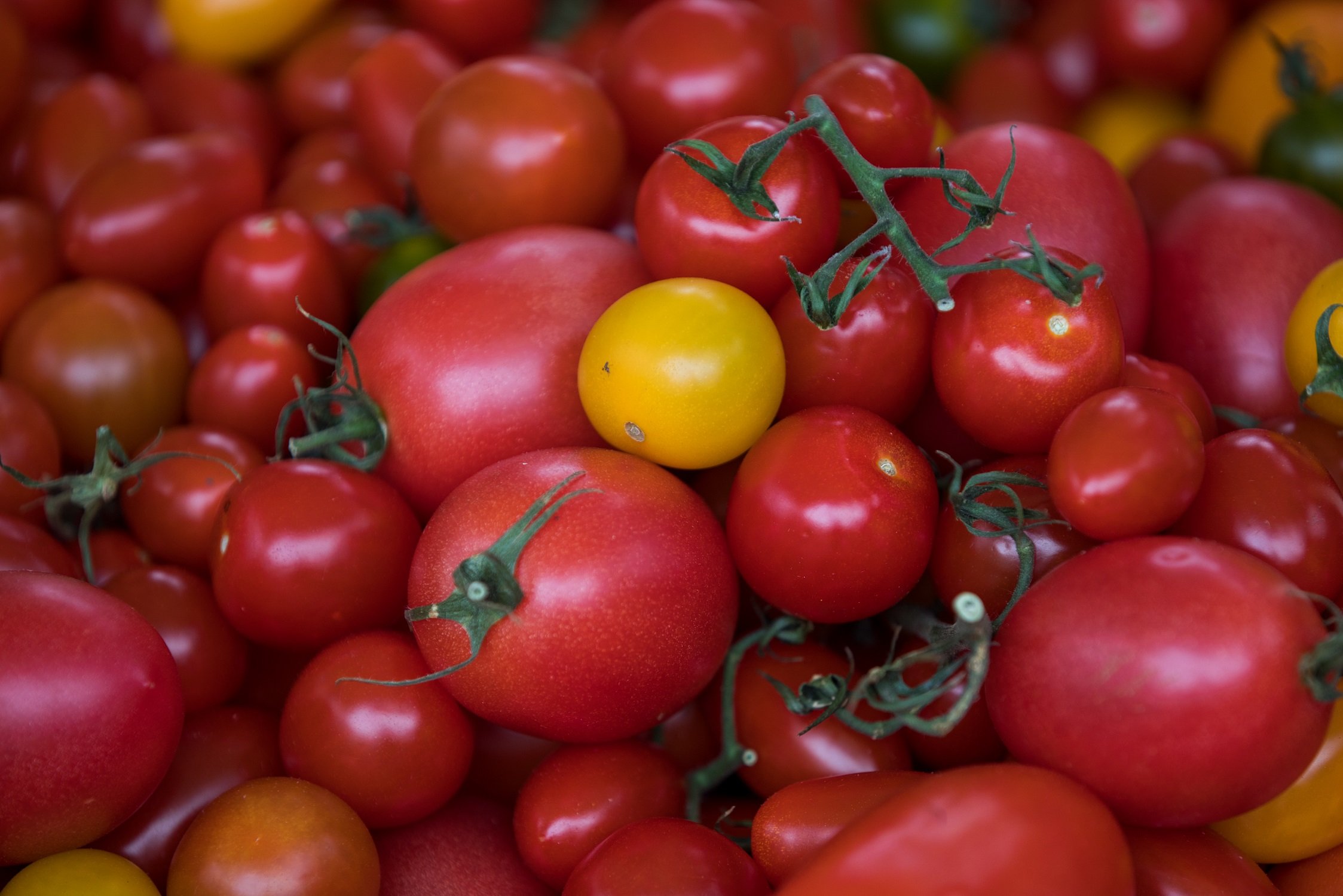 Tomatoes sit on display on a market stall in Norwich, U.K