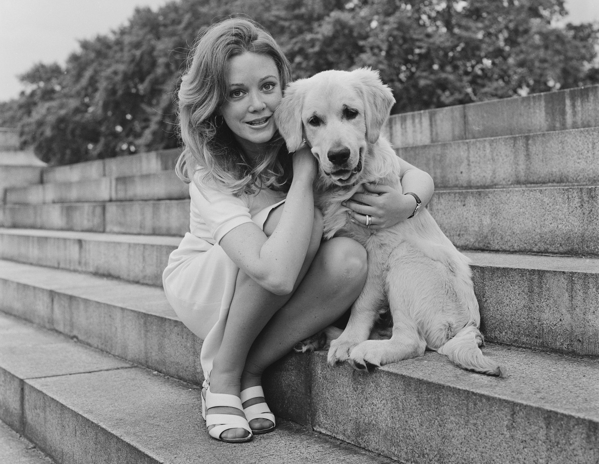 Elaine Taylor poses with a retriever dog sitting on a flight of stone steps, 29th June 1972.
