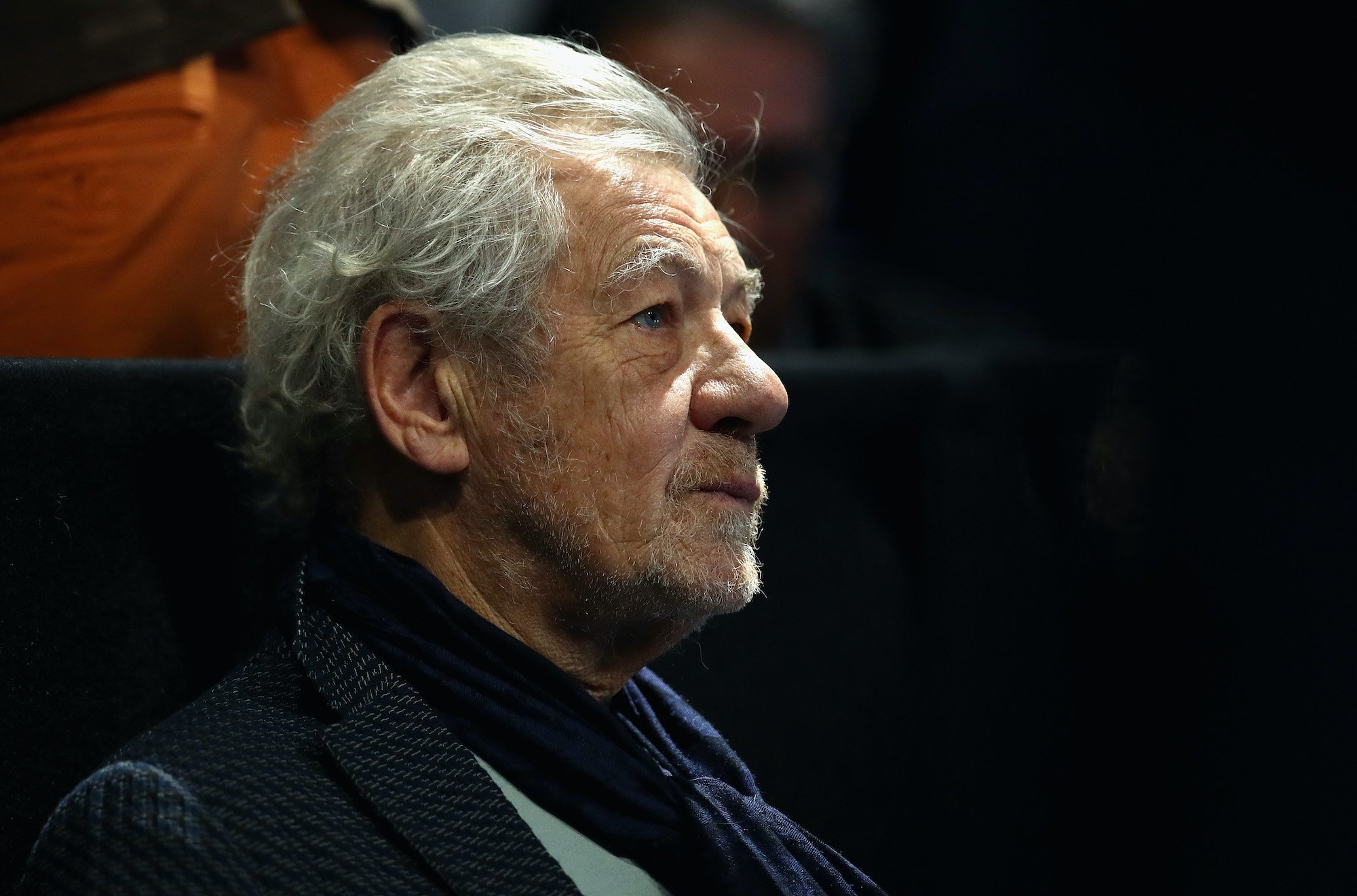 Sir Ian McKellen