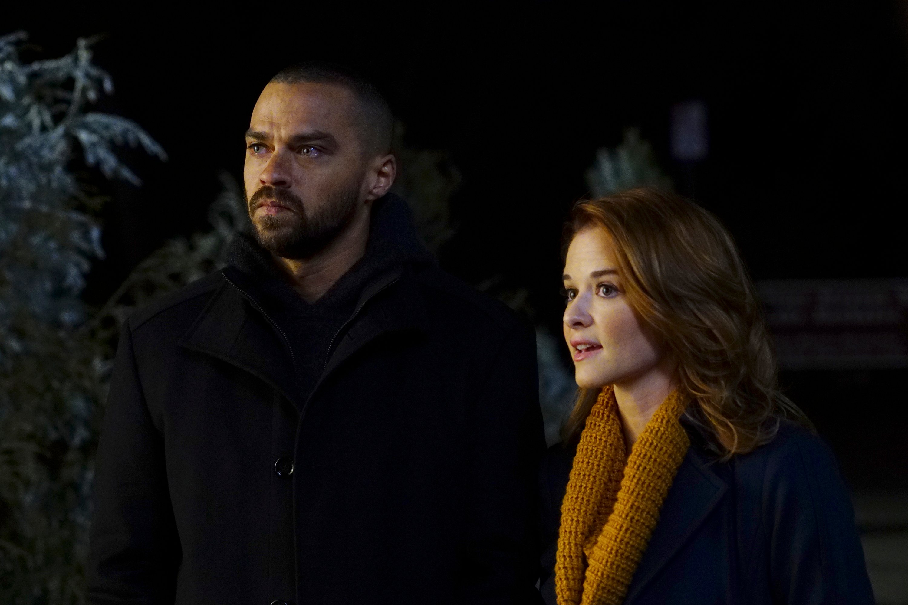 Jesse Williams and Sarah Drew 