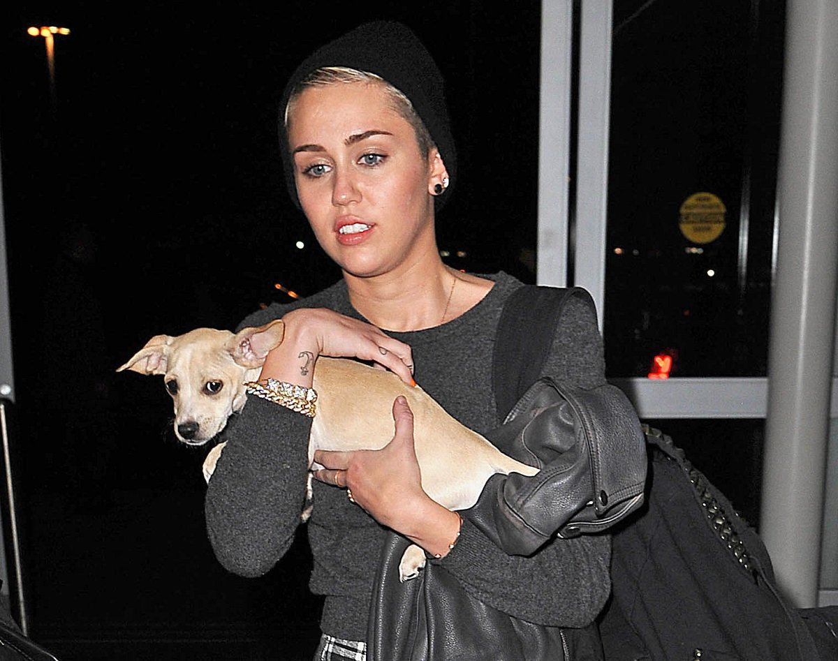 Miley Cyrus in a black beanie holding a small dog