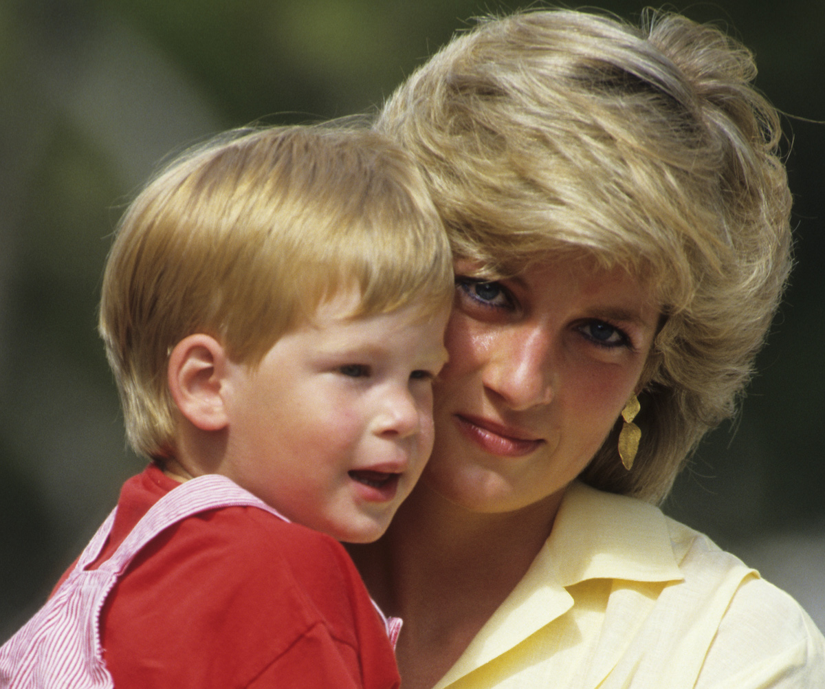 How Much Money Did Prince Harry Get From His Mother, Princess Diana