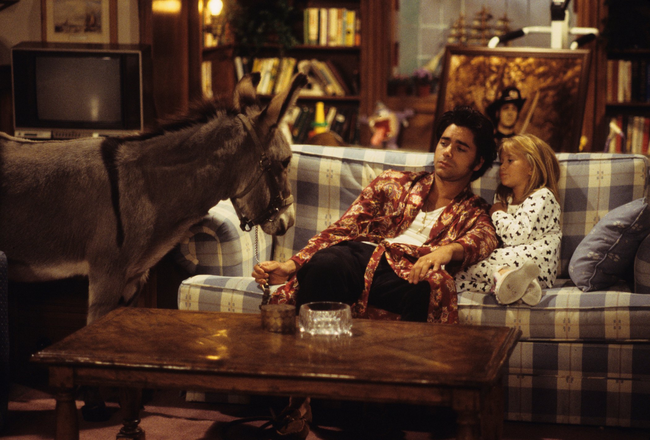 'Full House' Episode Titled 'You Pet It, You Bought It