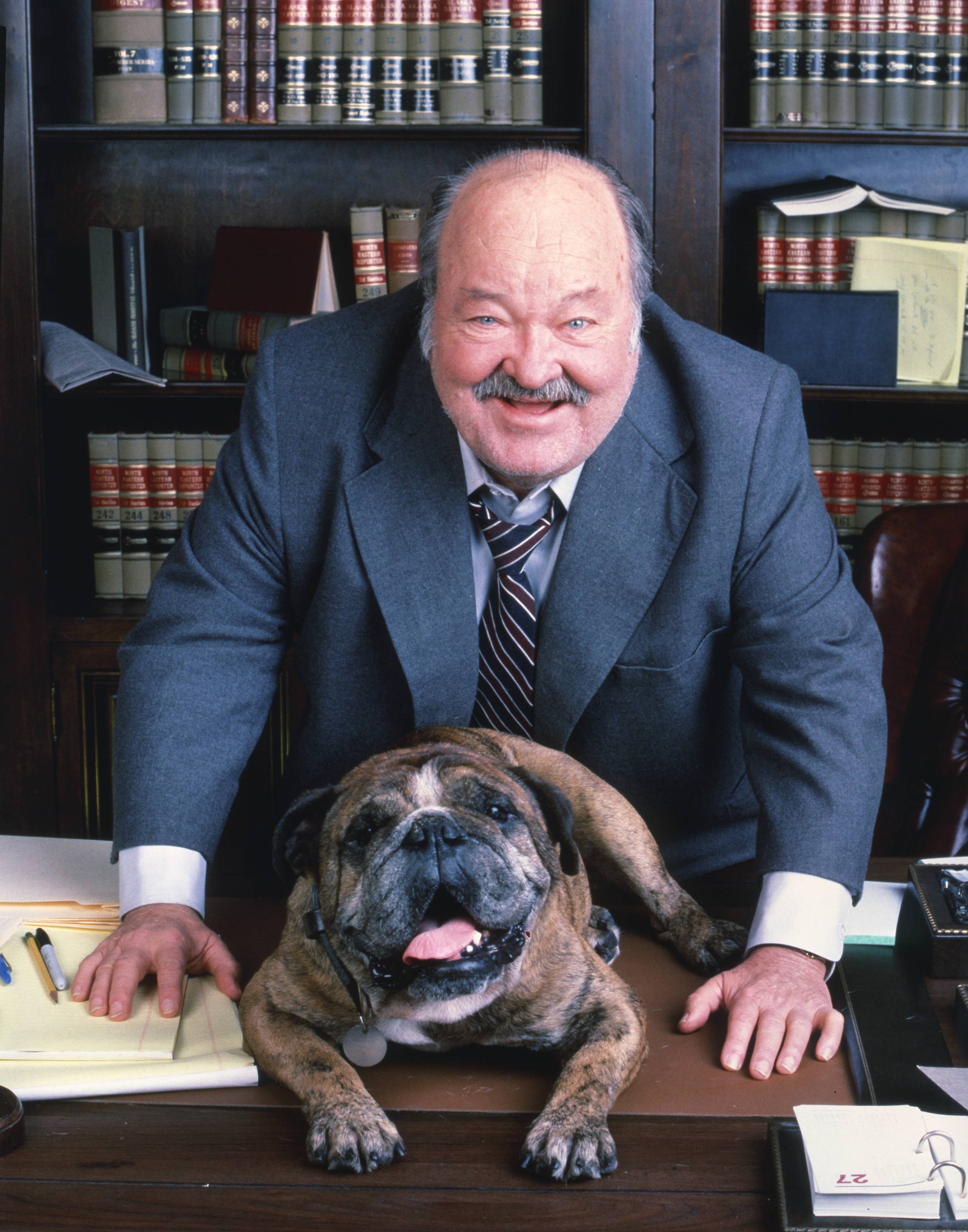 'Jake and the Fatman' star William Conrad leaning on a desk on which sits an English bulldog, 1990