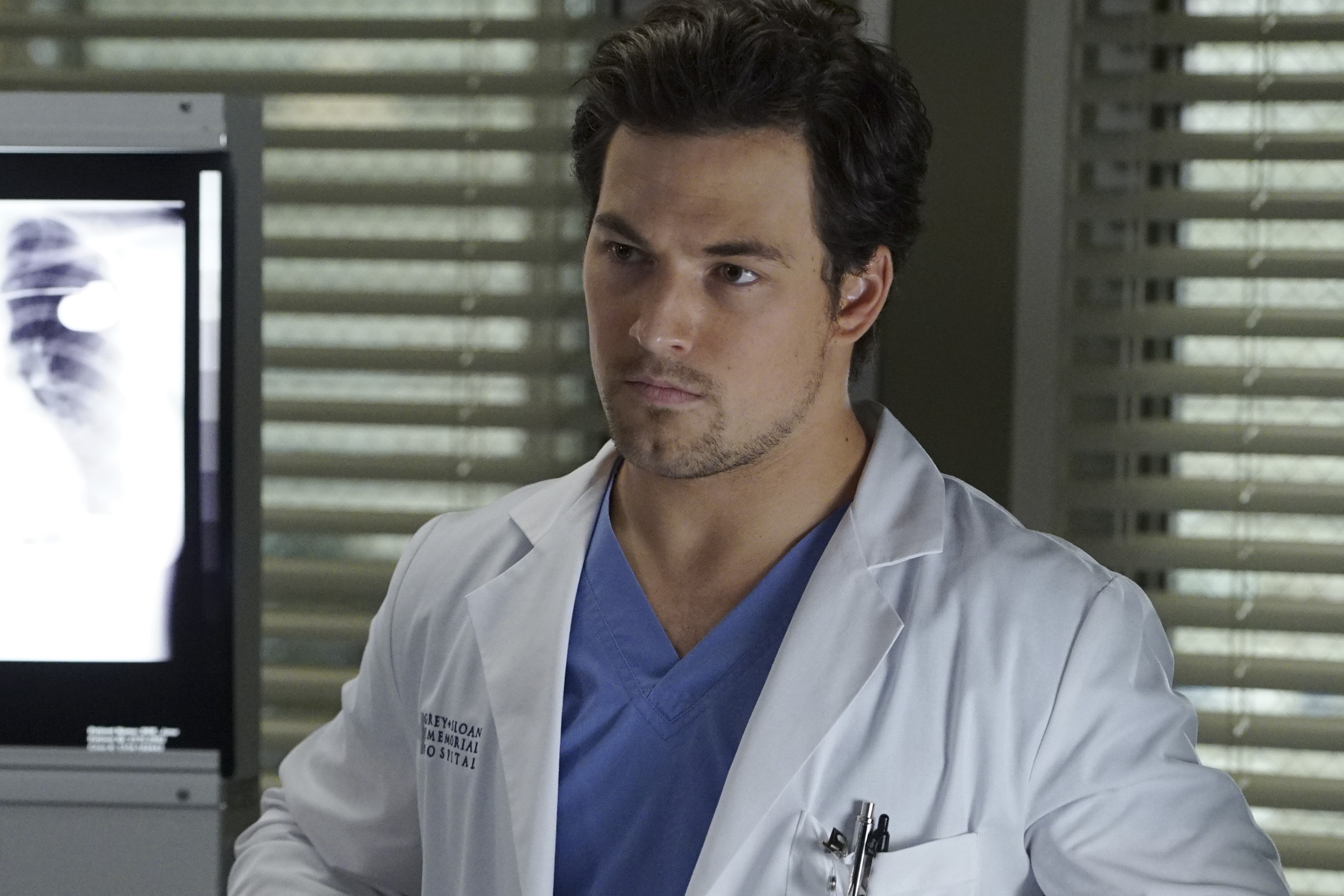 Greys Anatomy star Giacomo Gianniotti as Andrew DeLuca