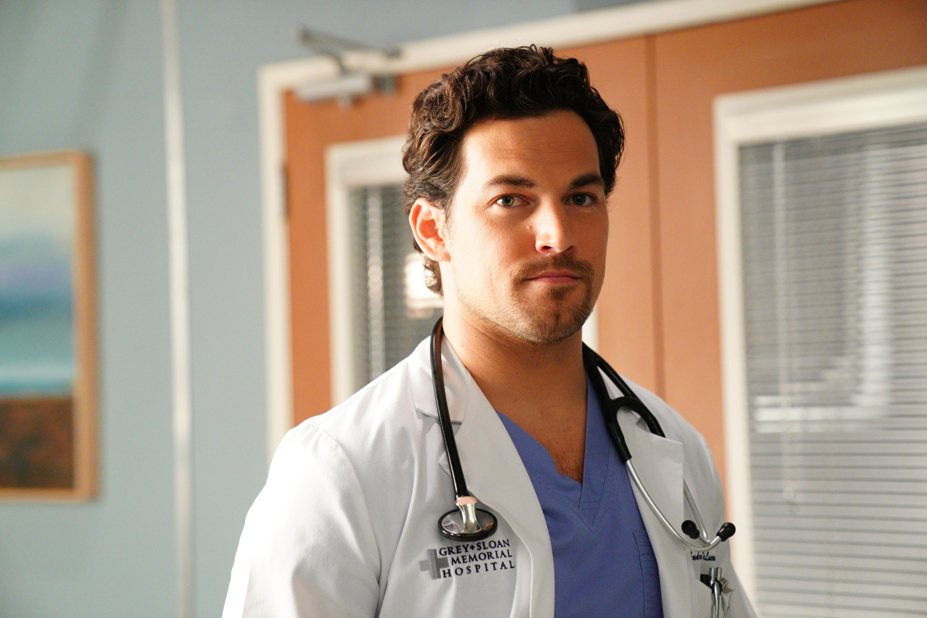 Greys Anatomy Andrew DeLuca portrayed by Giacomo Gianniotti