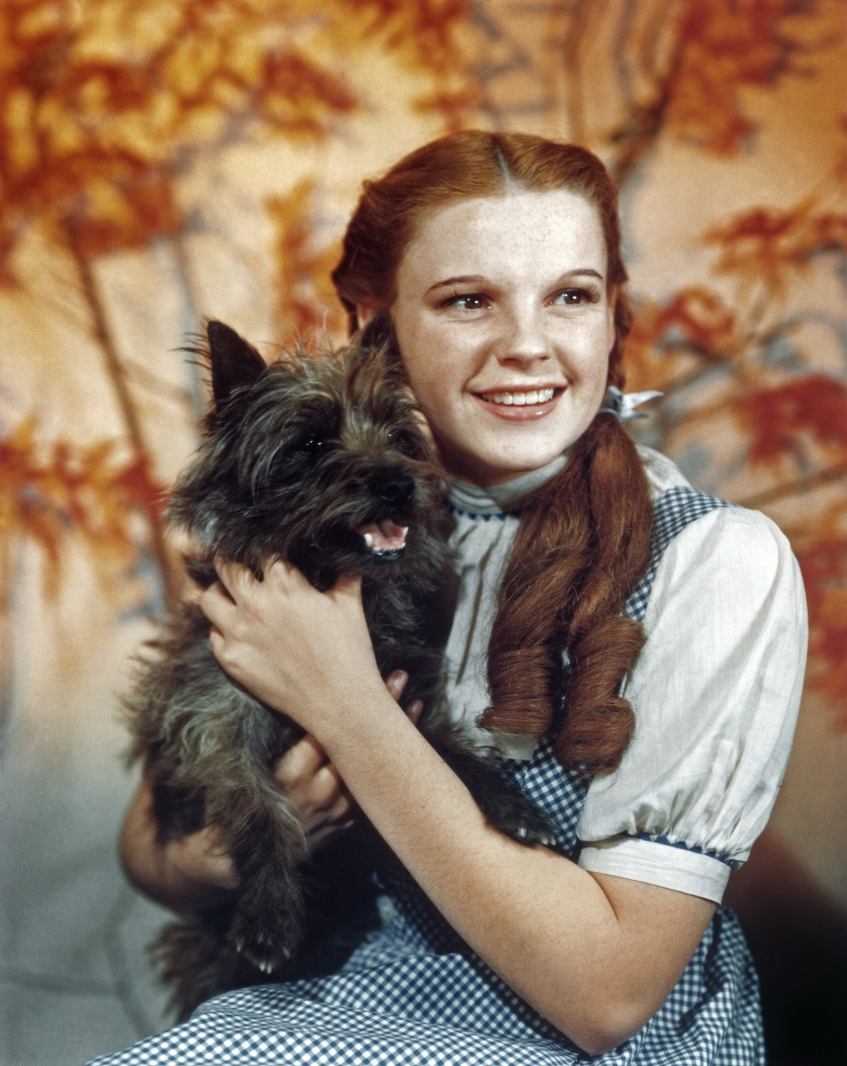 Judy Garland hold Toto in a publicity shot for 'The Wizard of Oz'