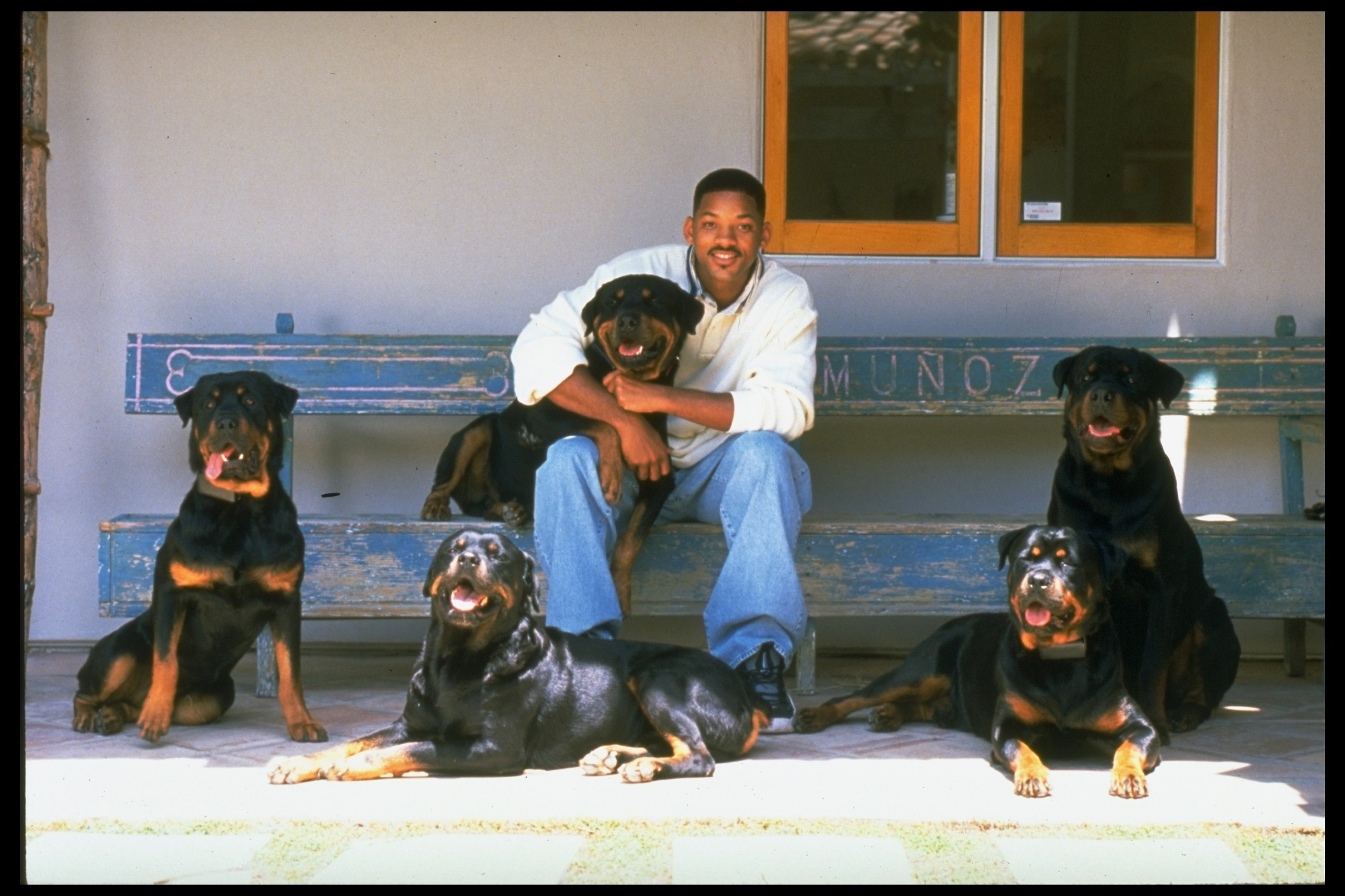 Will Smith with five rotweilers in 1996