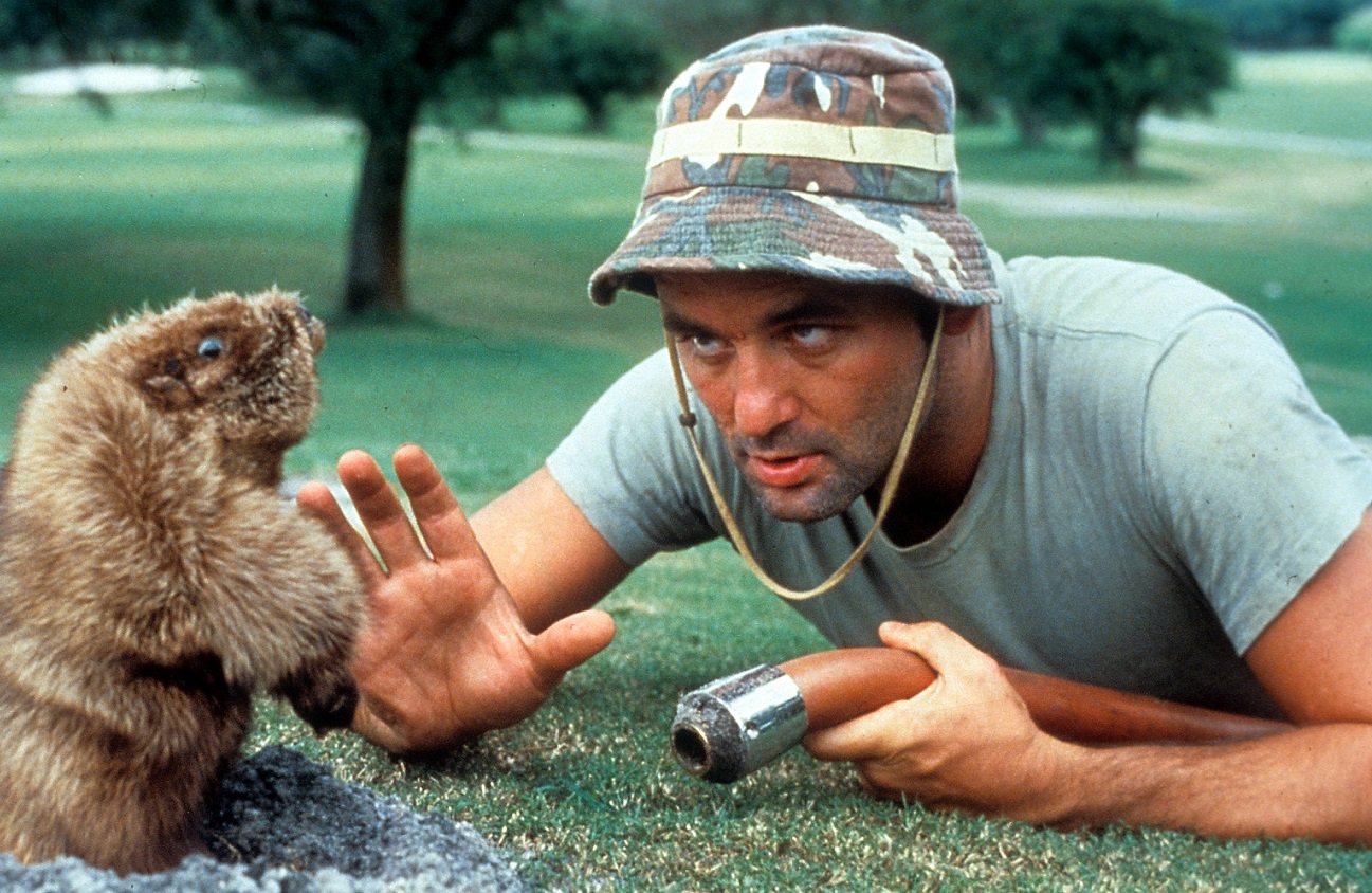 Bill Murray holds a hose and reaches toward a gopher puppet in the movie 'Caddyshack'