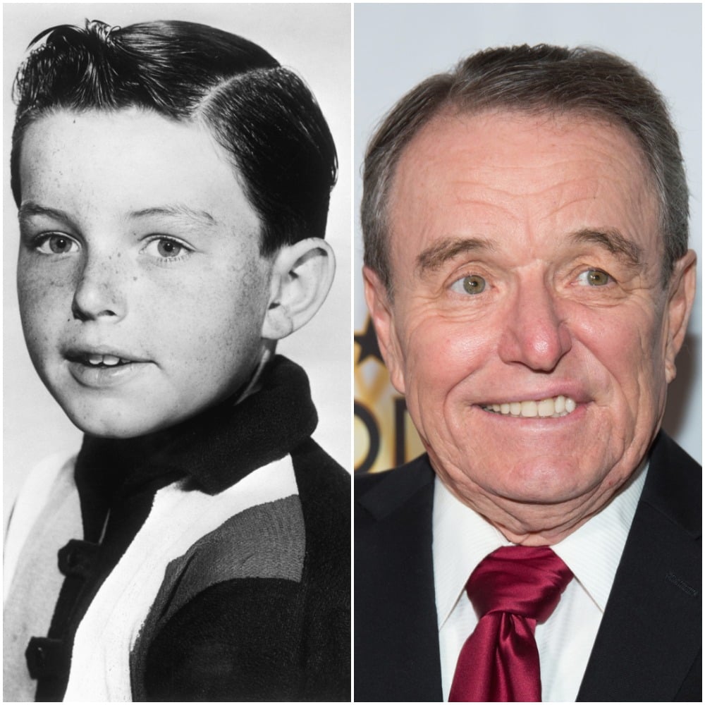 Leave It to Beaver': What's 'Beaver Cleaver' Actor Jerry Mathers' Net Worth?