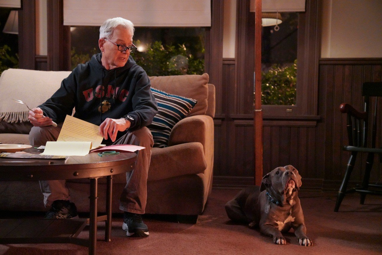 Mark Harmon sits next to a dog while sitting on his couch