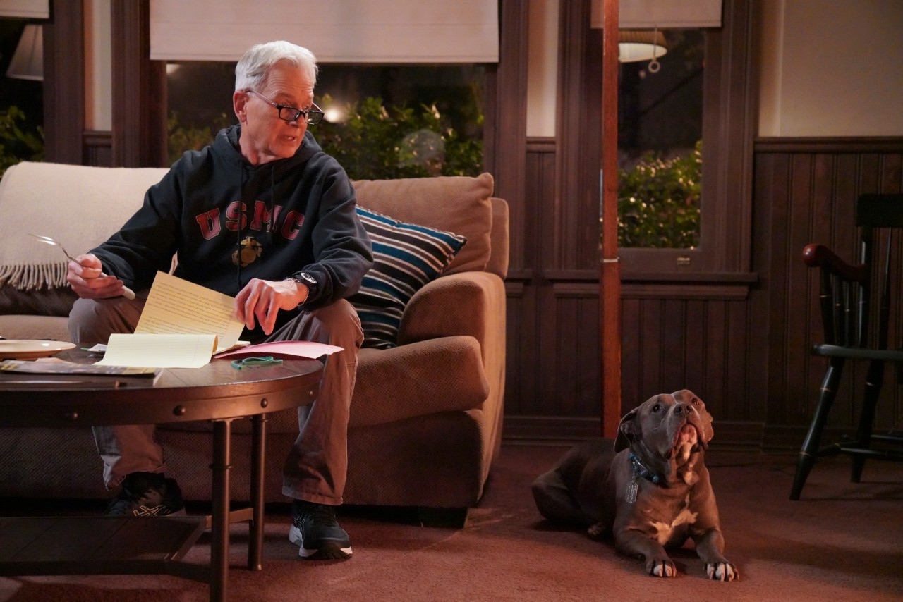 Mark Harmon | Bill Inoshita/CBS via Getty Images