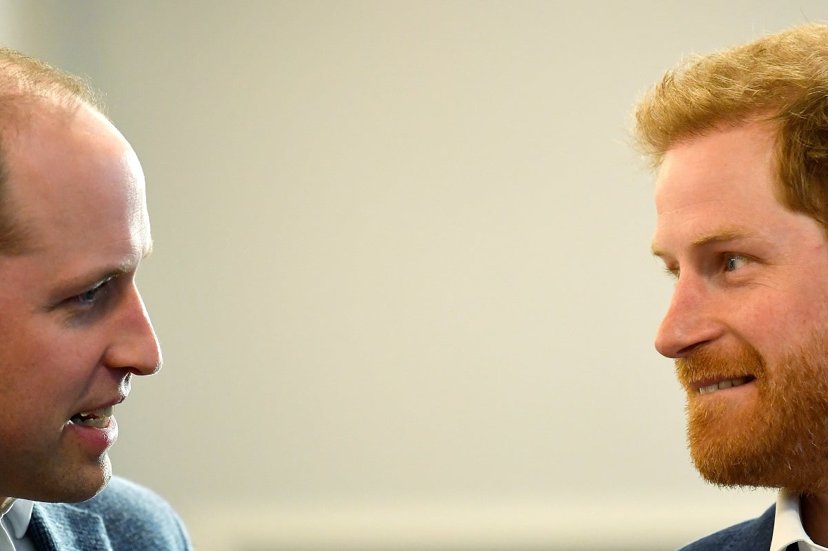 Side profiles of Prince William and Prince Harry