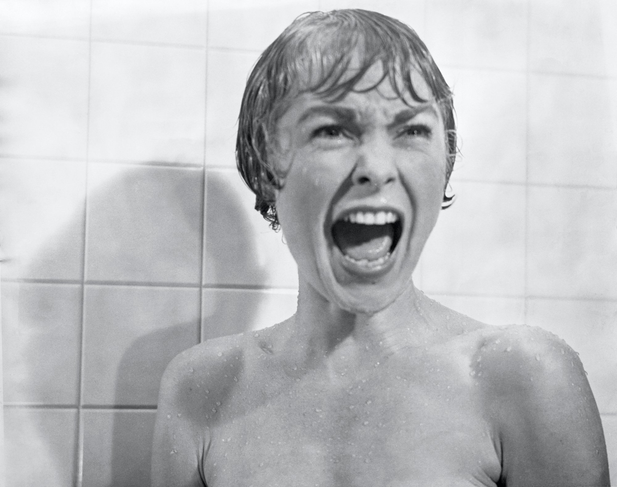 Janet Leigh Screaming in Psycho Shower Scene